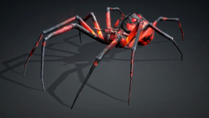 Alternative view of Spider_V6a
