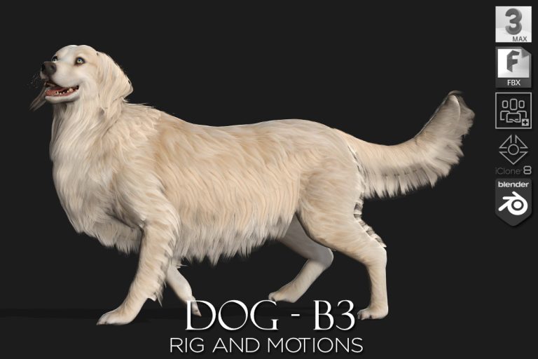 Dog_B3
