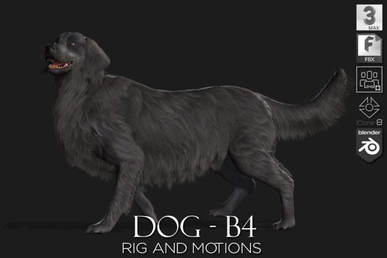 Dog_B4