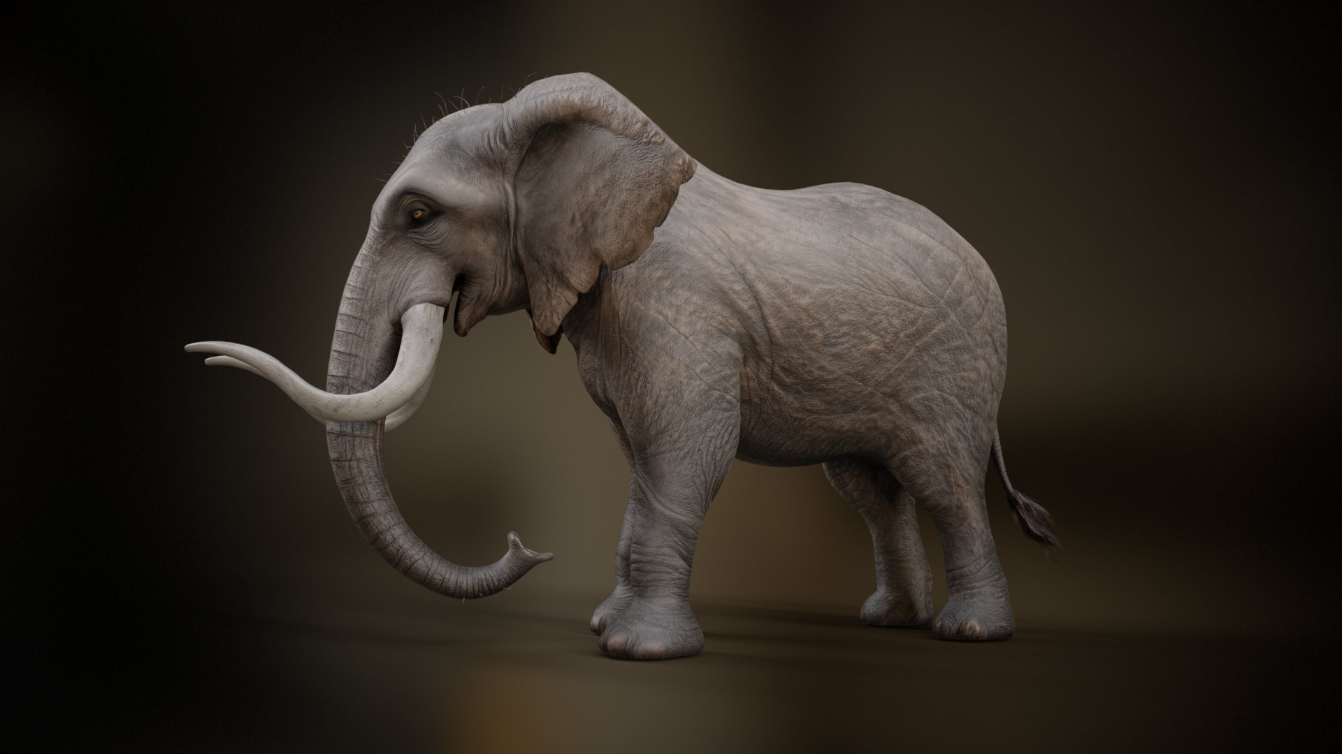 Elephant_A1 - Image 2