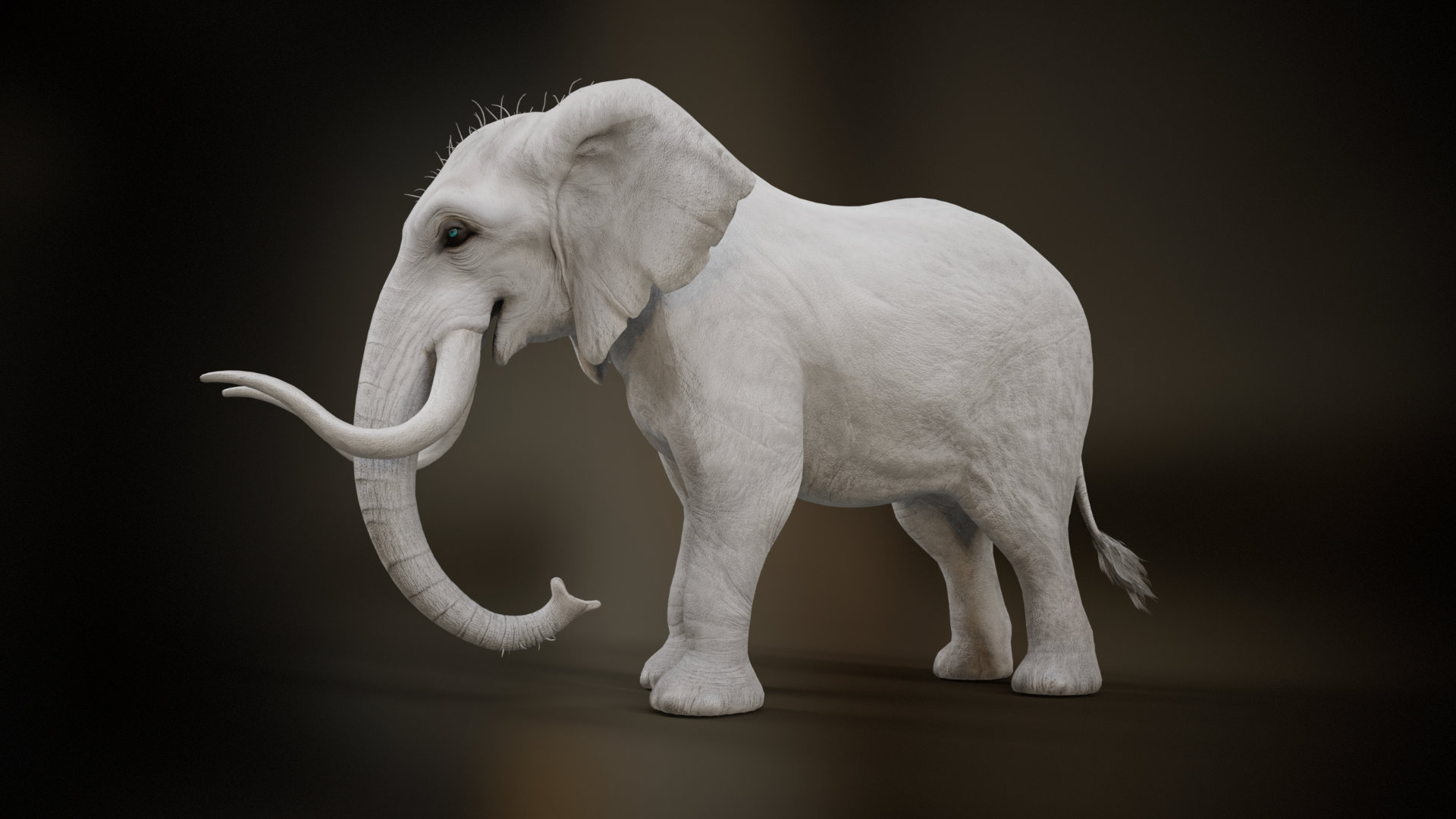 Elephant_A2 - Image 2
