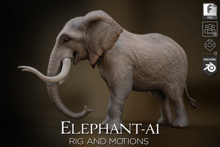 Elephant_A1