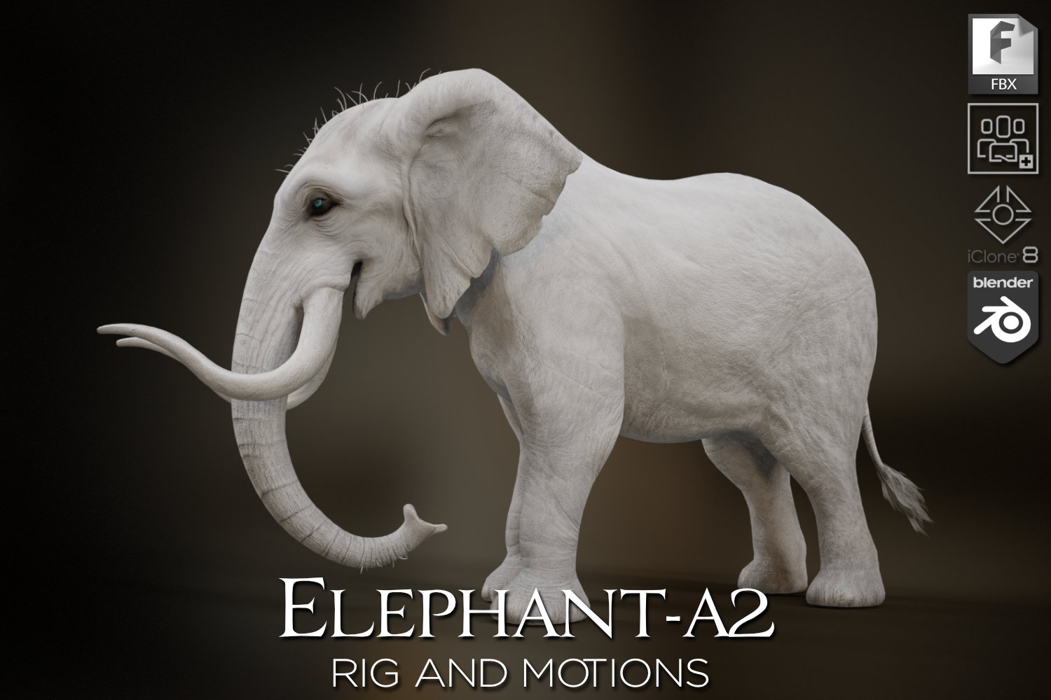 Elephant_A2