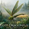 Giant Dragonfly_A1