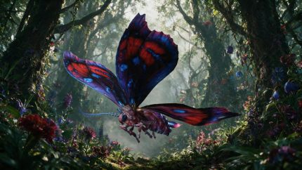 Alternative view of Giant Butterfly_B2