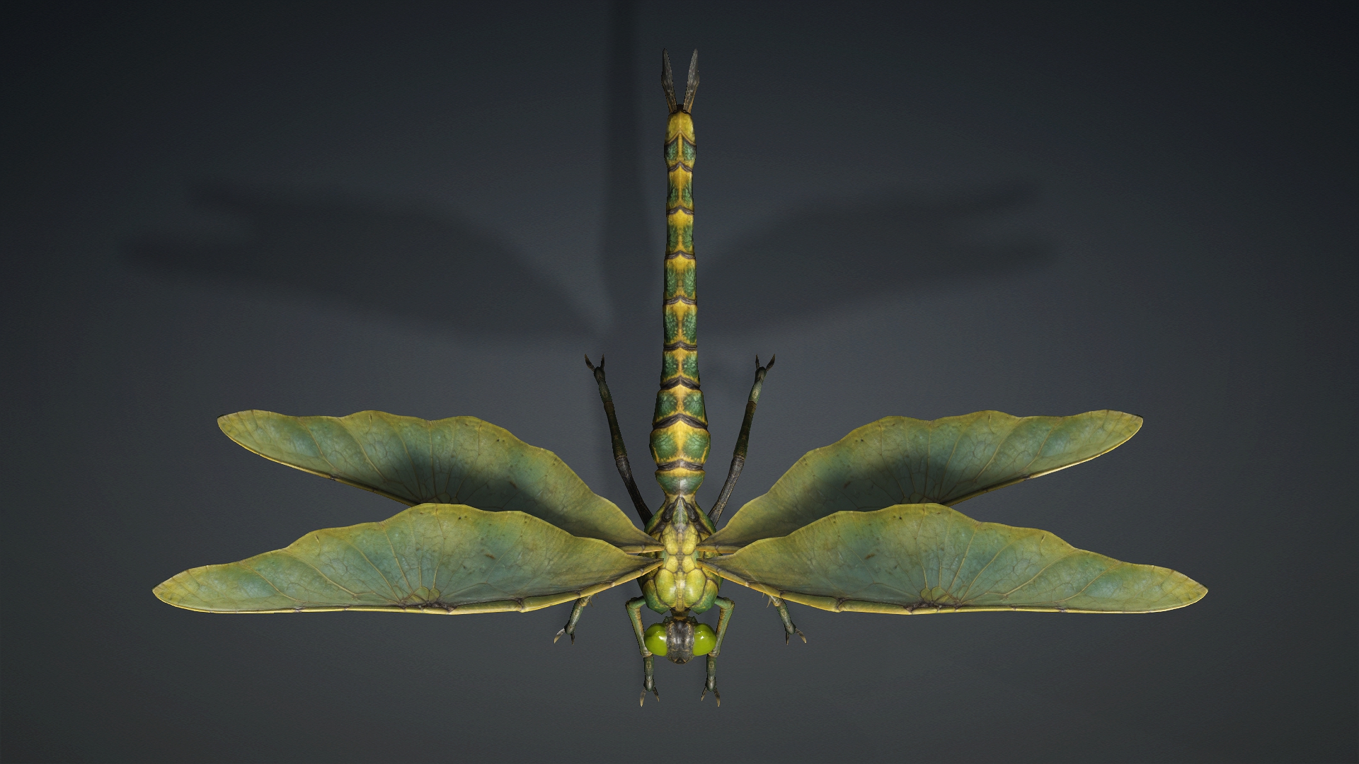 Giant Dragonfly_A1 - Image 4