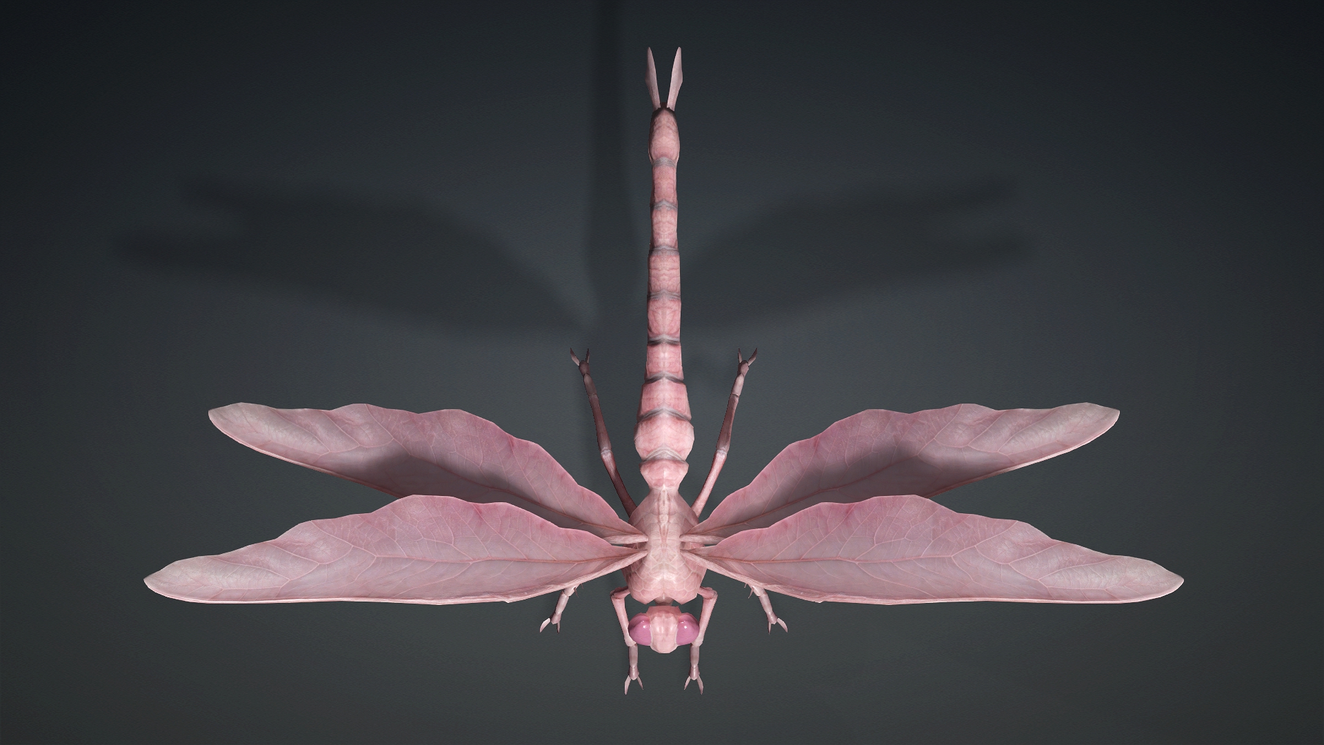 Giant Dragonfly_A3 - Image 4