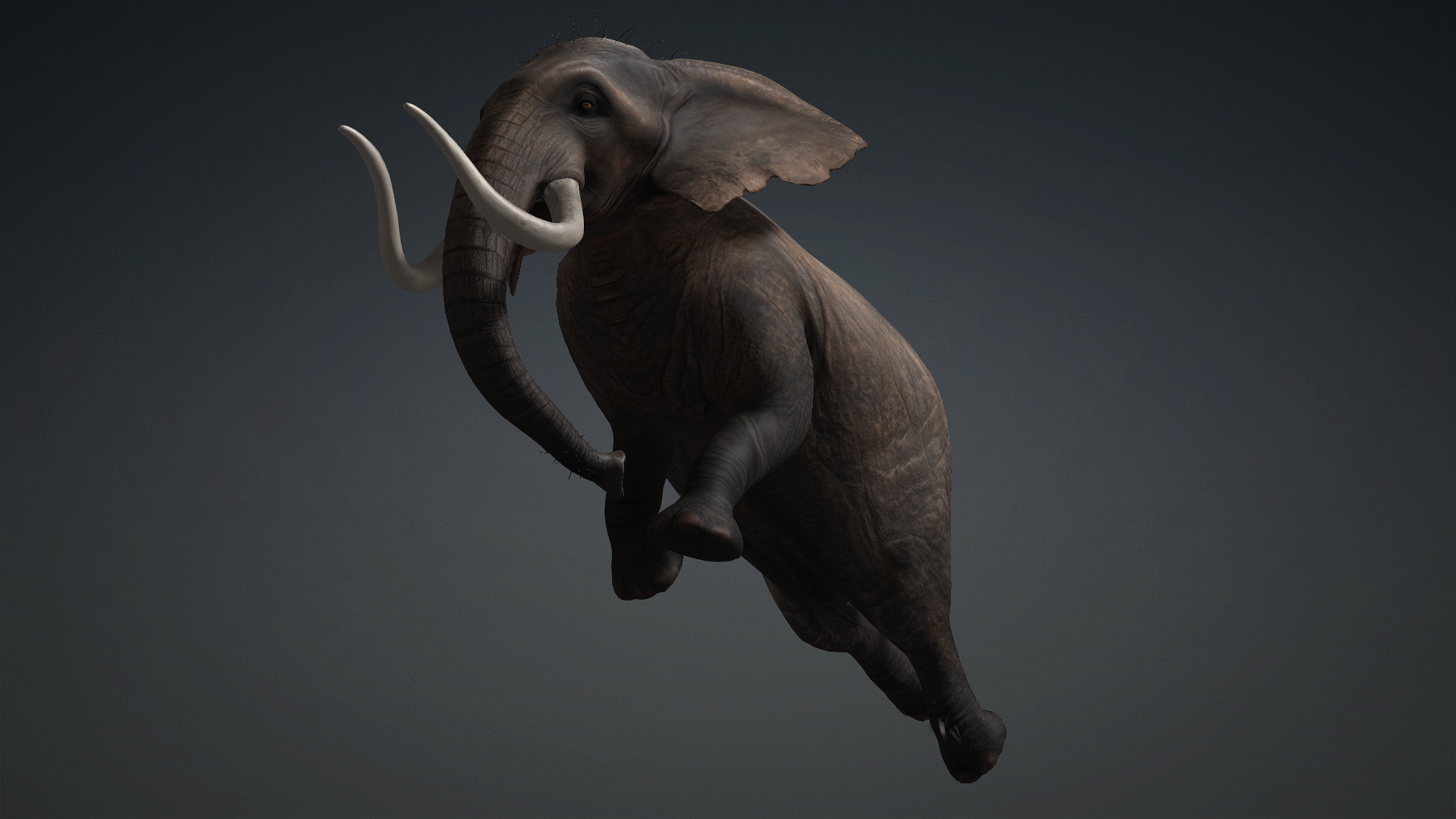 Elephant_A1 - Image 12