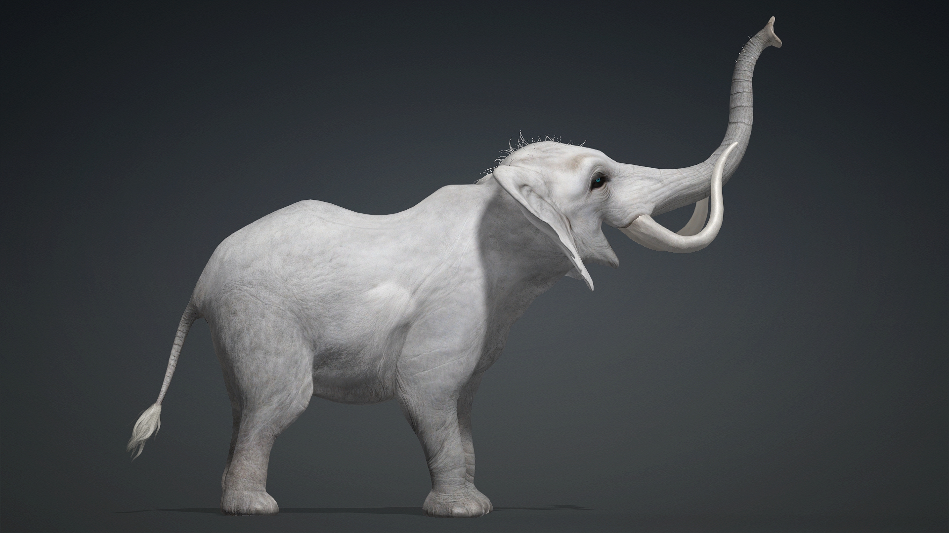 Elephant_A2 - Image 12