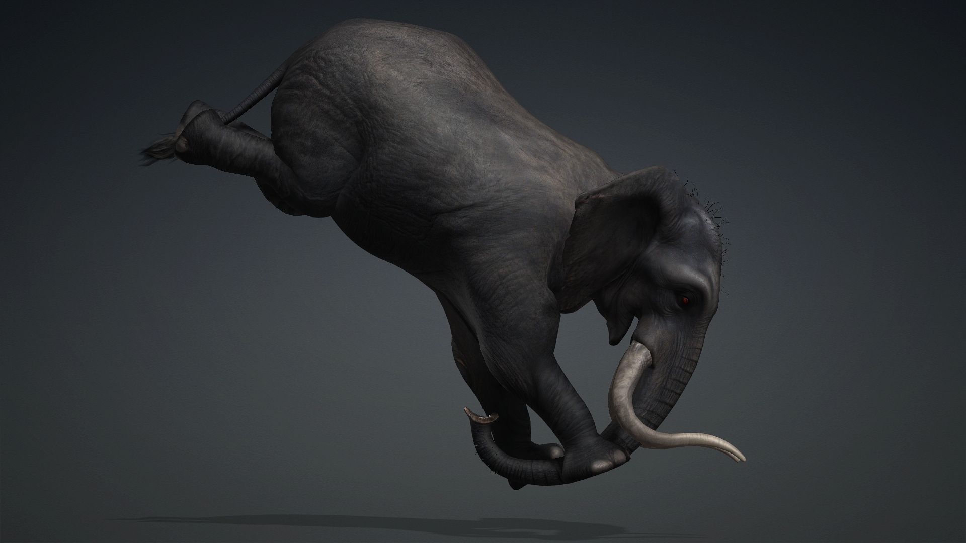Elephant_A3 - Image 12
