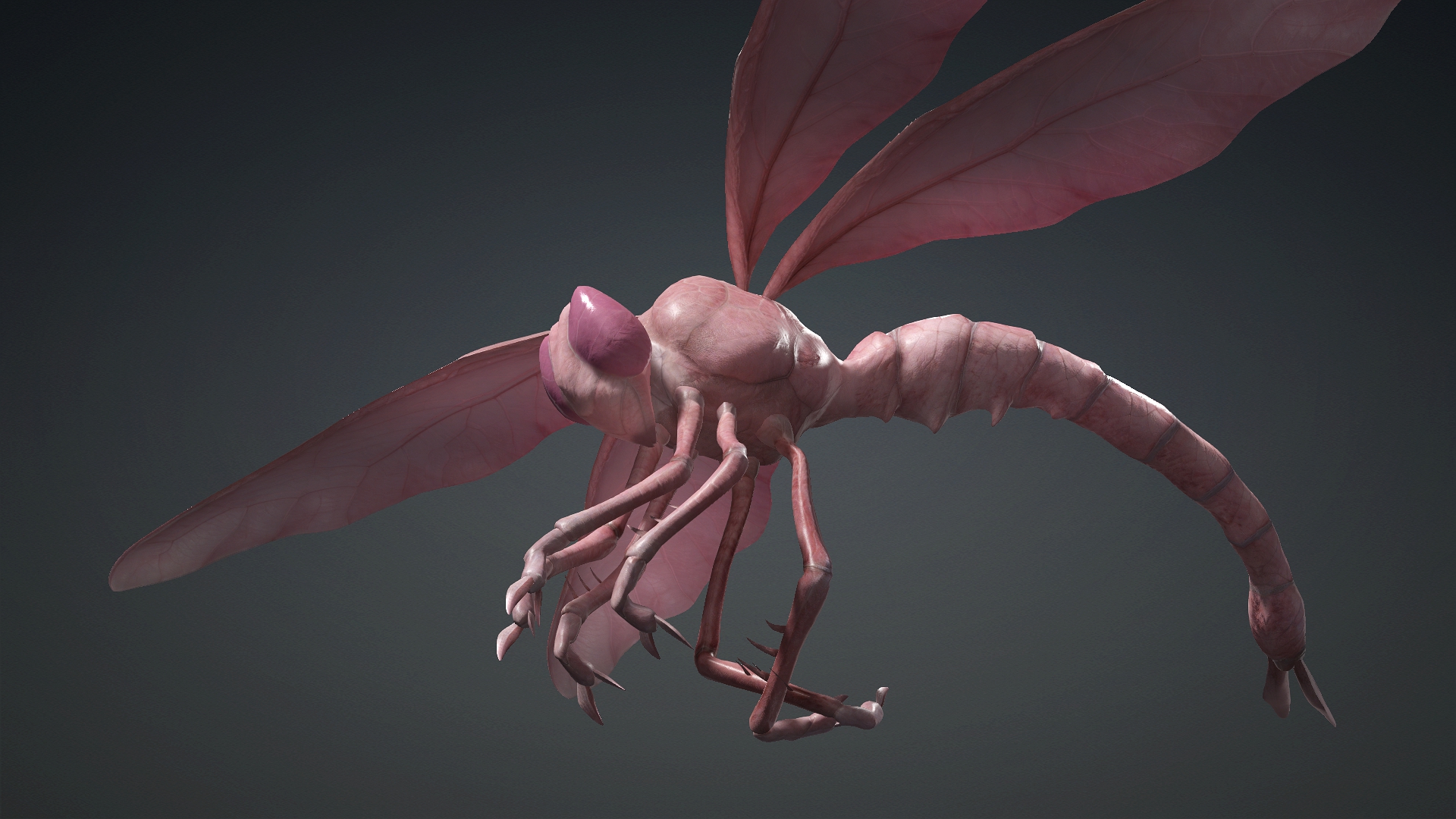 Giant Dragonfly_A3 - Image 13