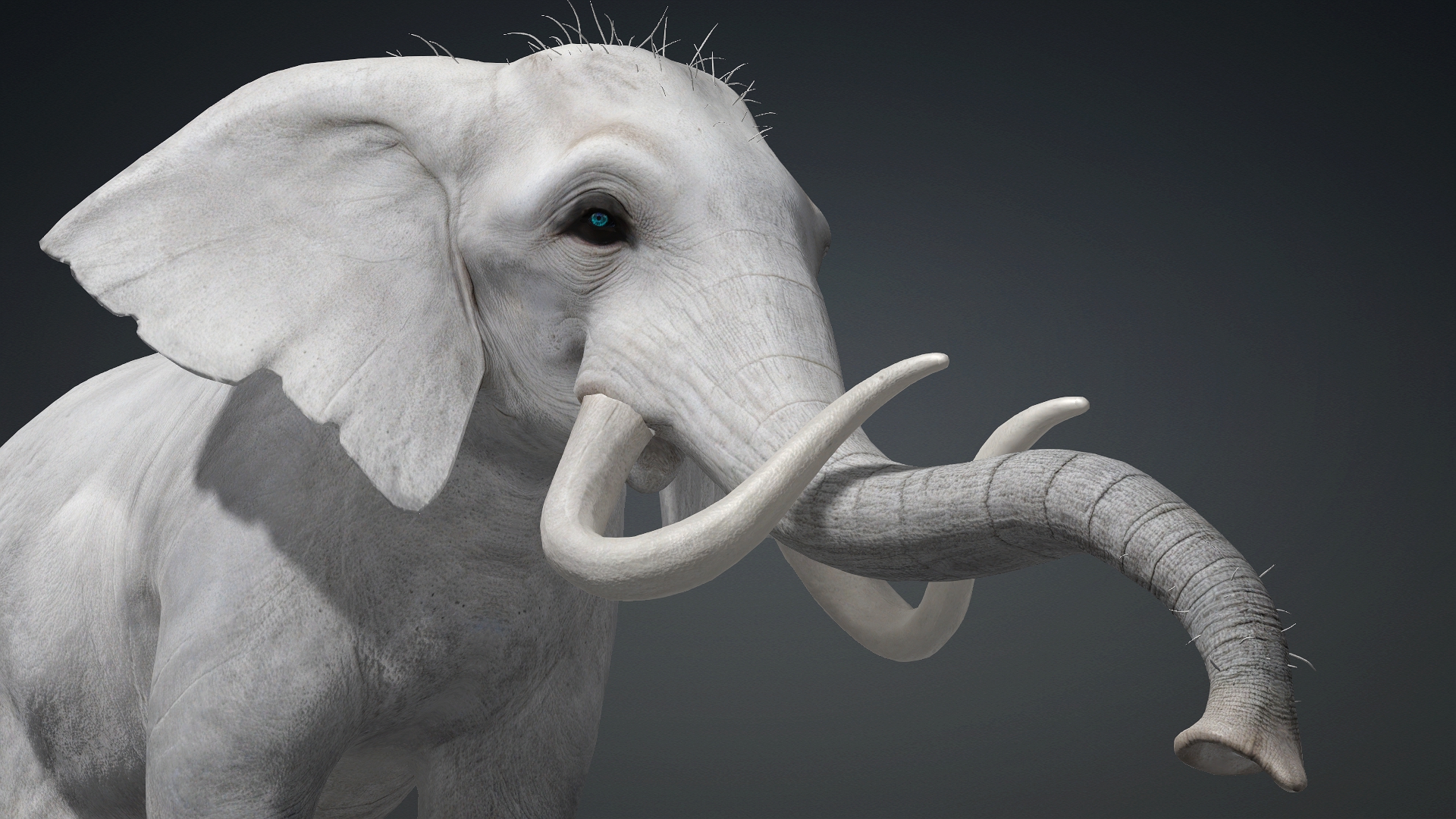 Elephant_A2 - Image 13