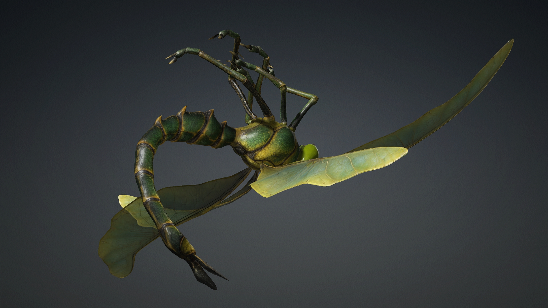 Giant Dragonfly_A1 - Image 14