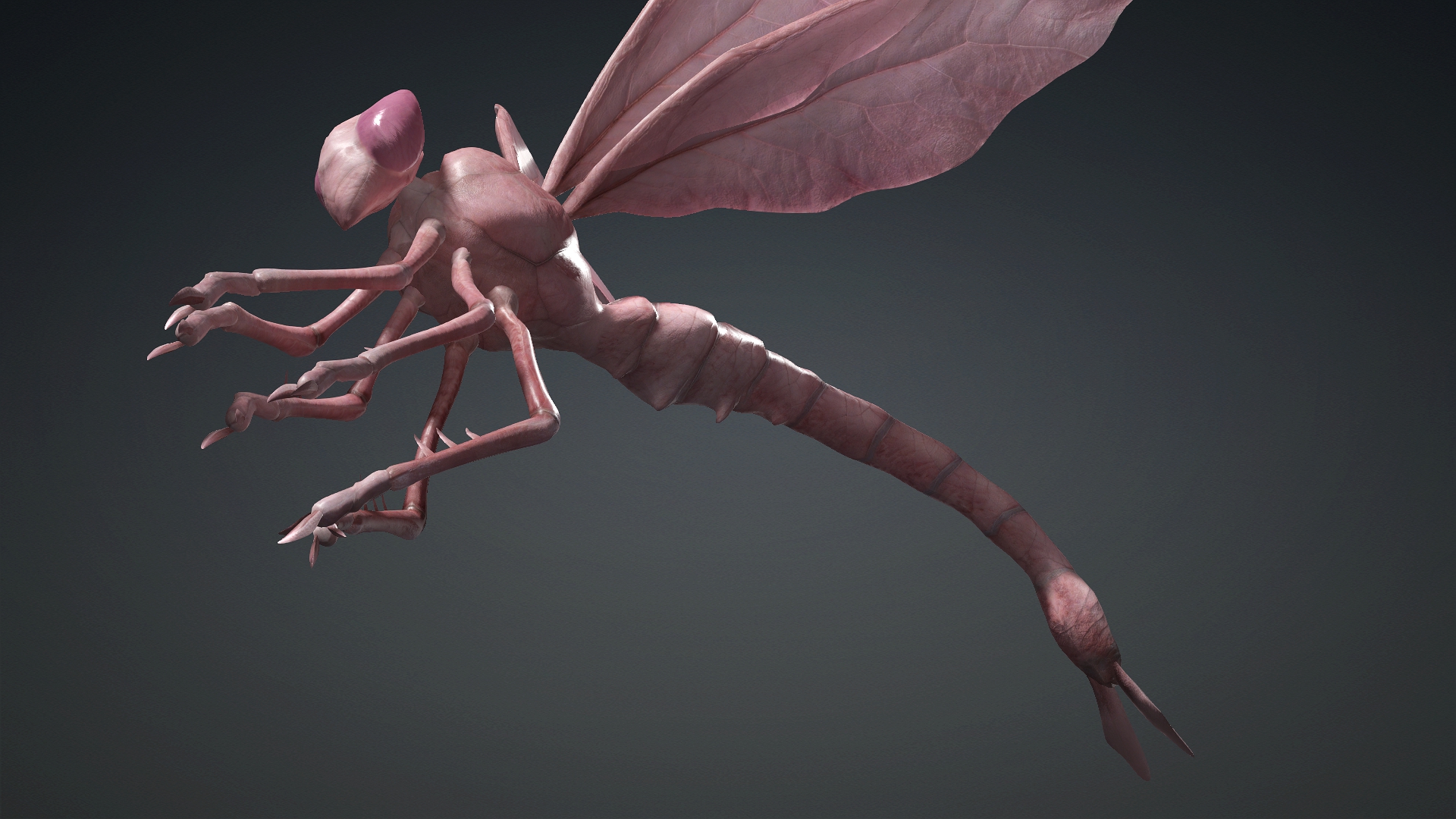 Giant Dragonfly_A3 - Image 14