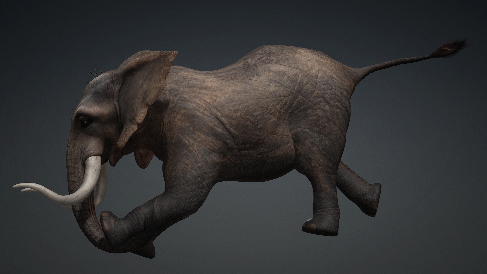 Elephant_A1 - Image 14