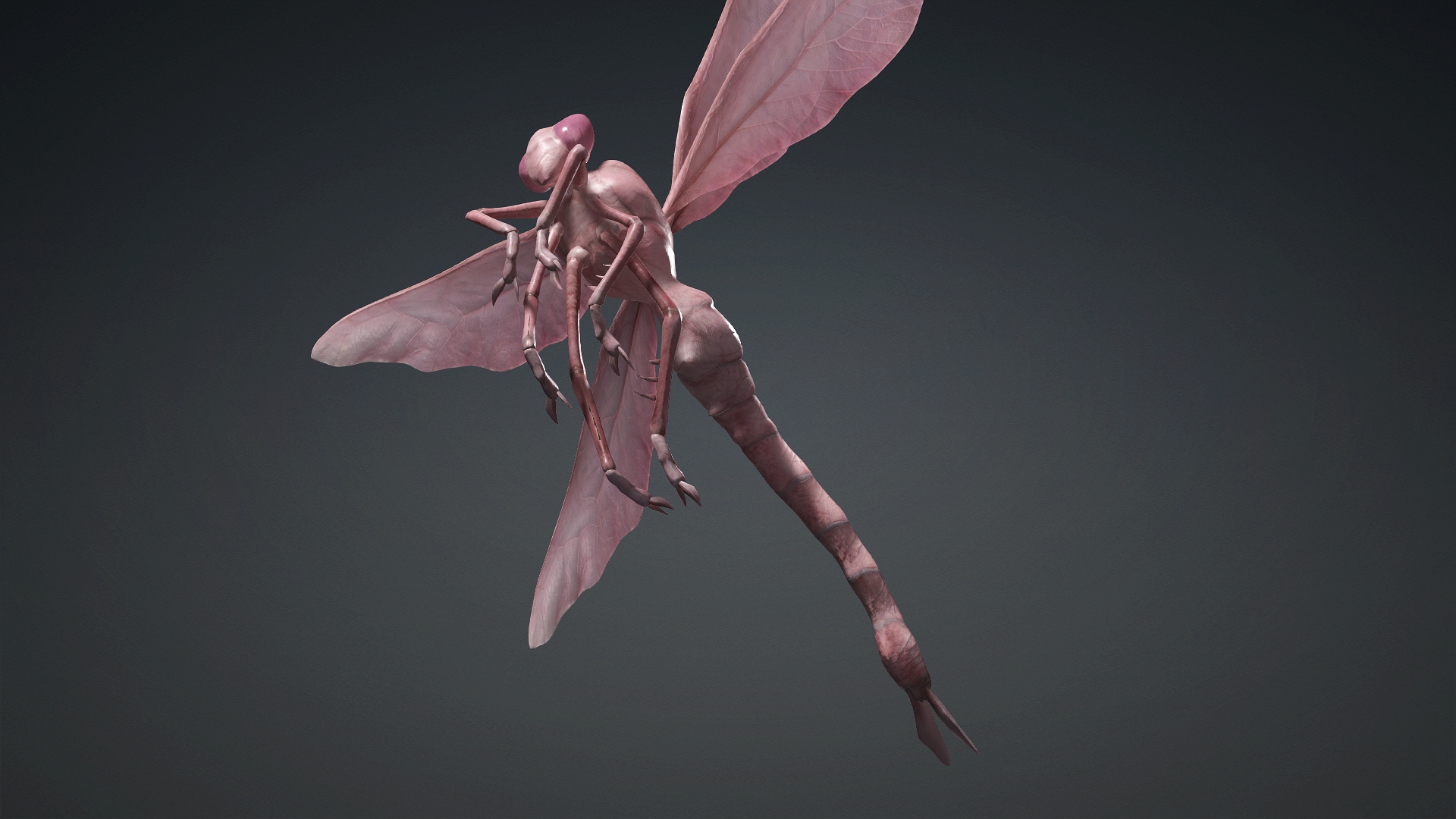Giant Dragonfly_A3 - Image 15