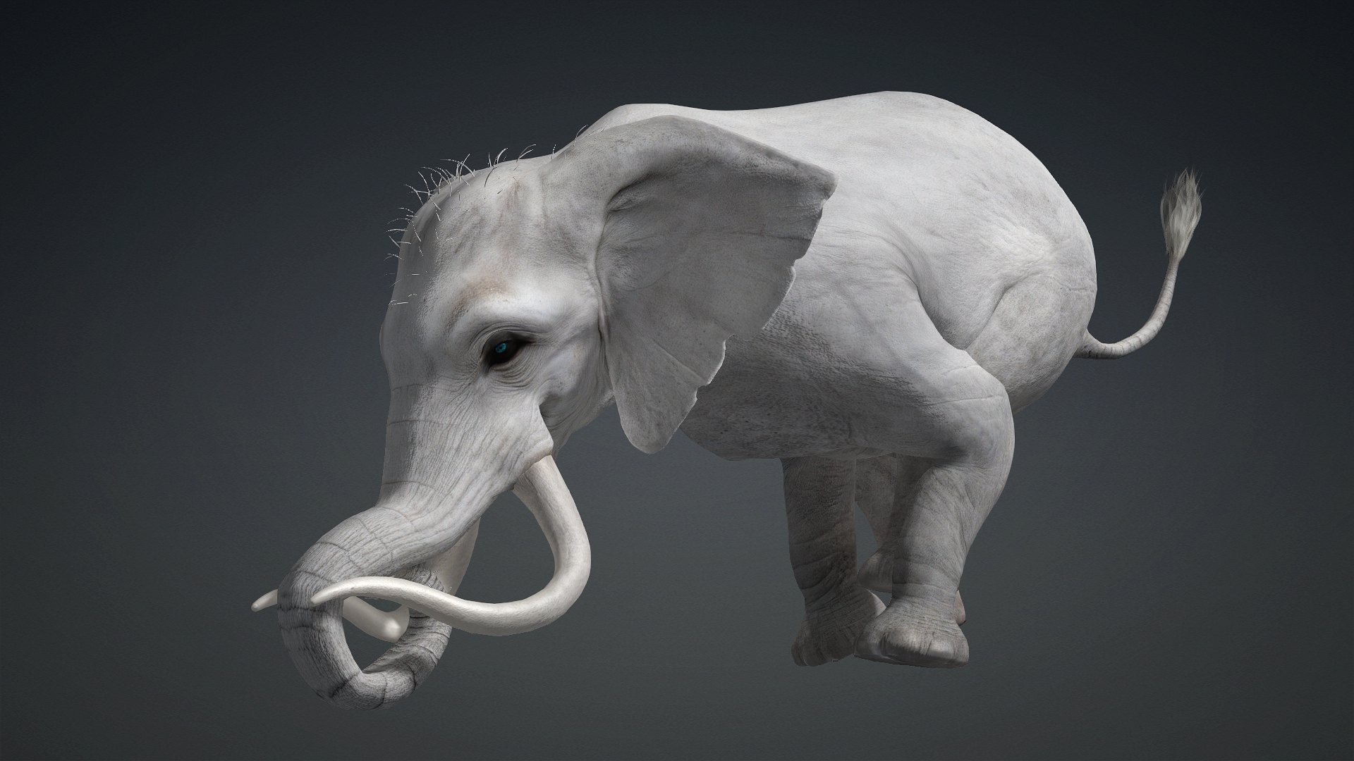 Elephant_A2 - Image 15