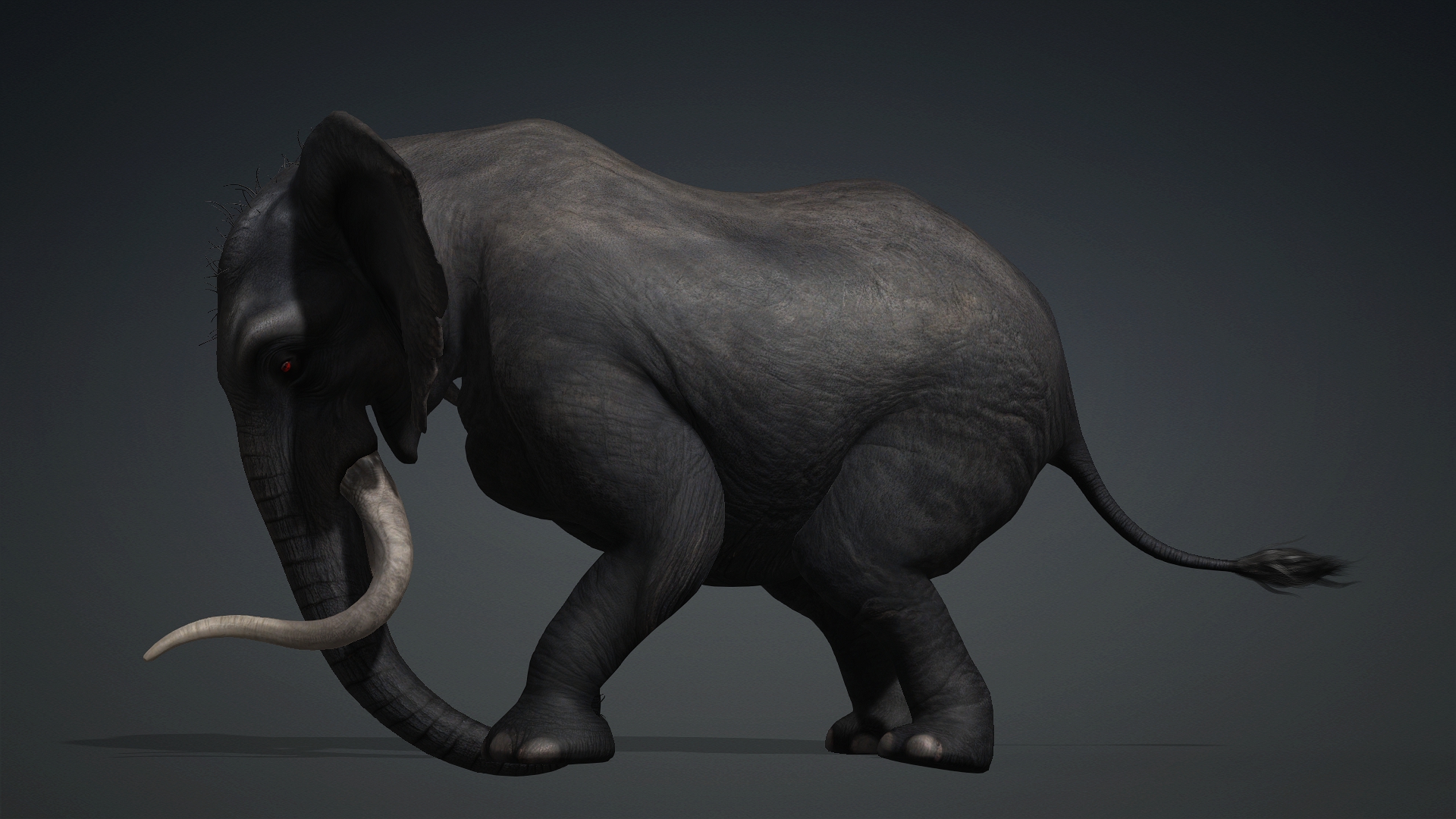 Elephant_A3 - Image 15
