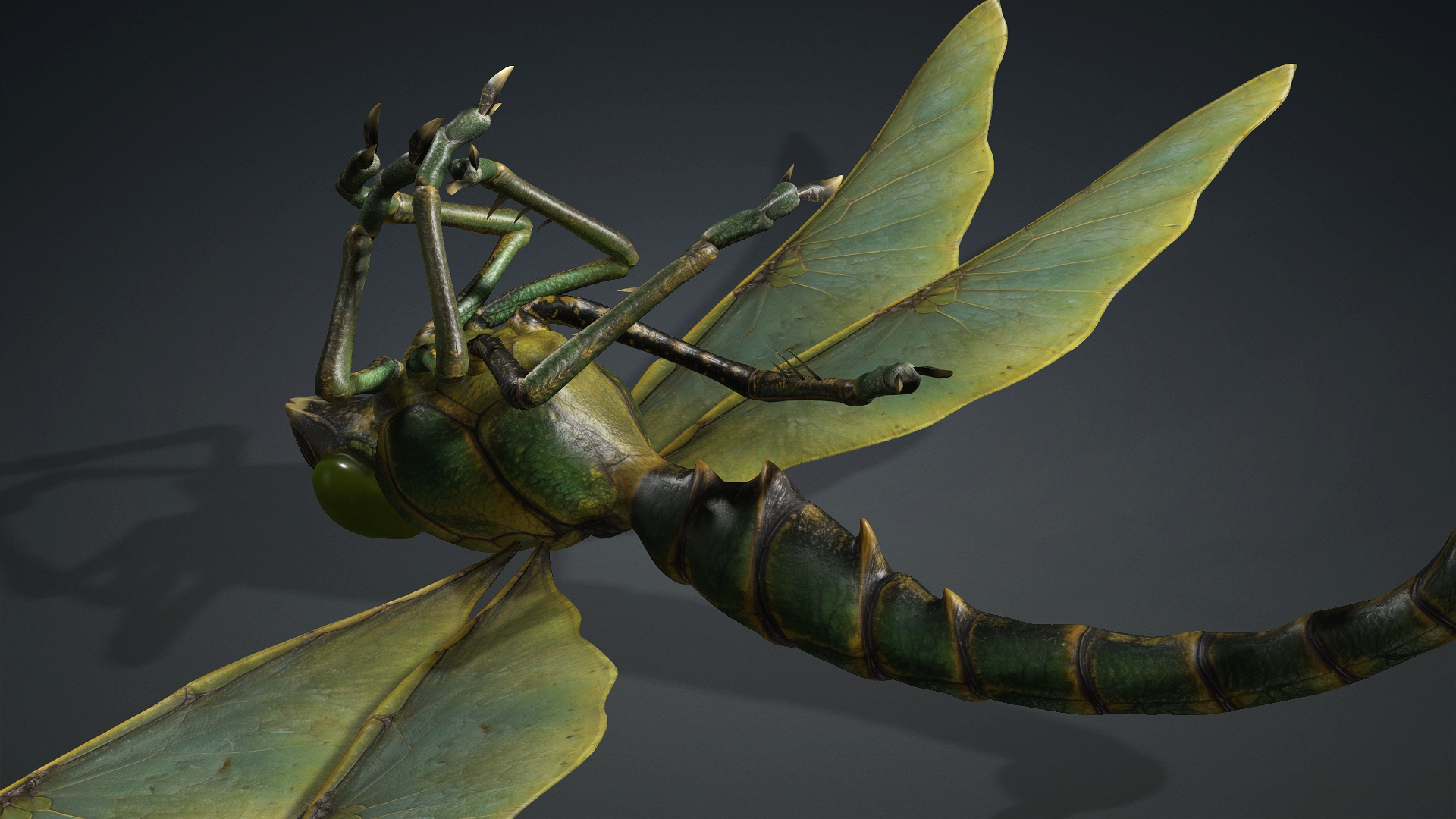 Giant Dragonfly_A1 - Image 16