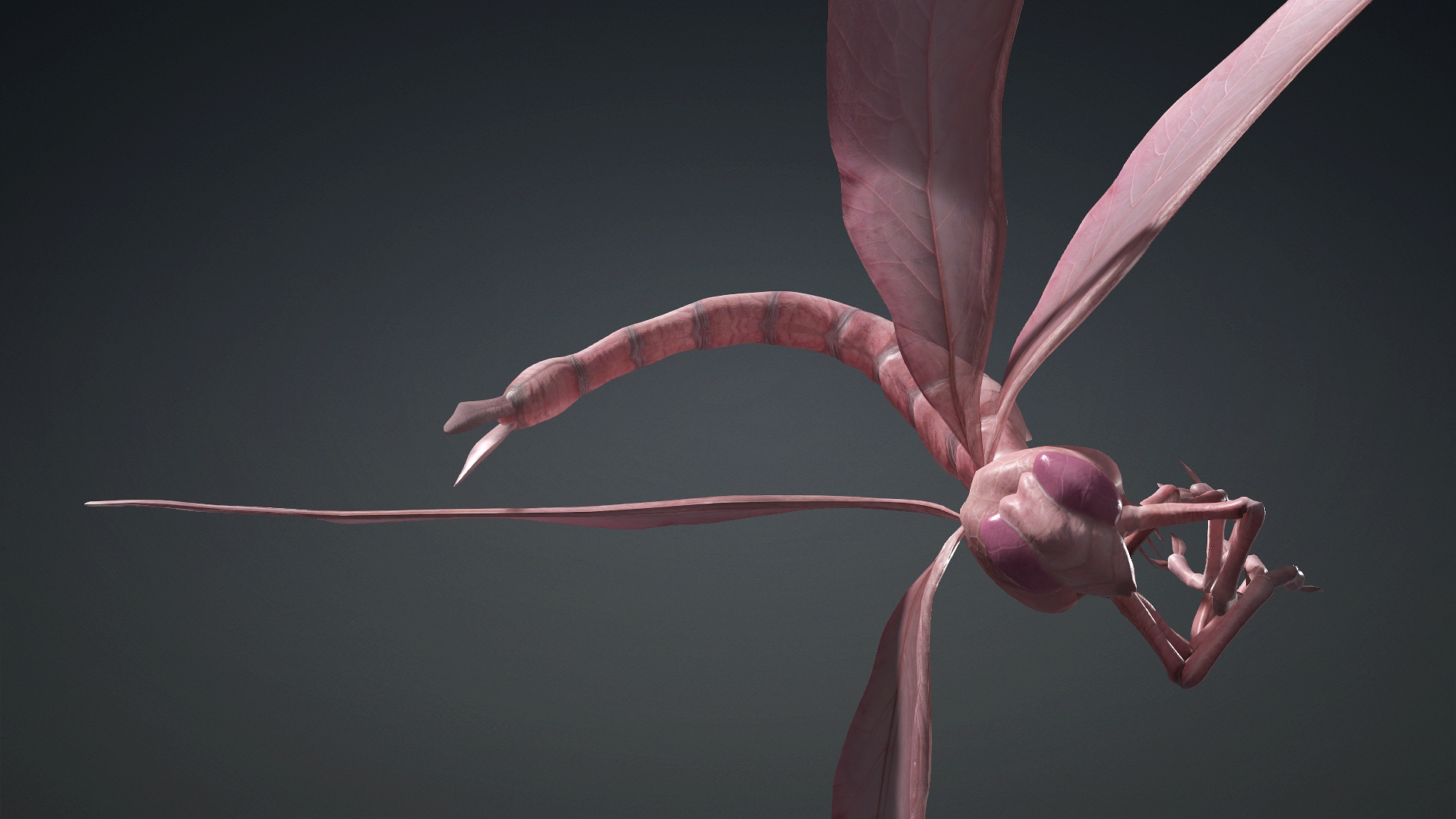 Giant Dragonfly_A3 - Image 16