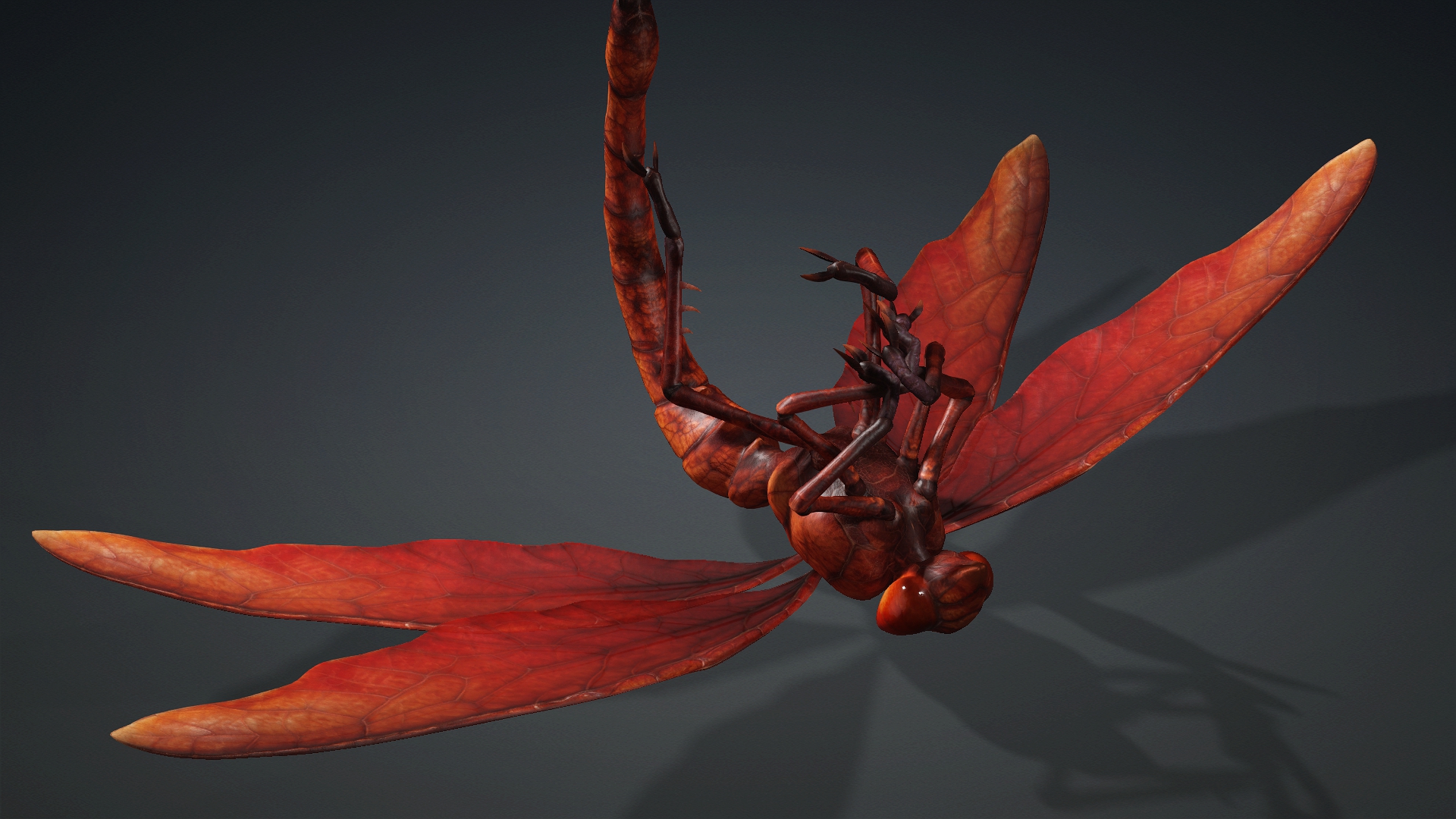 Giant Dragonfly_A2 - Image 17