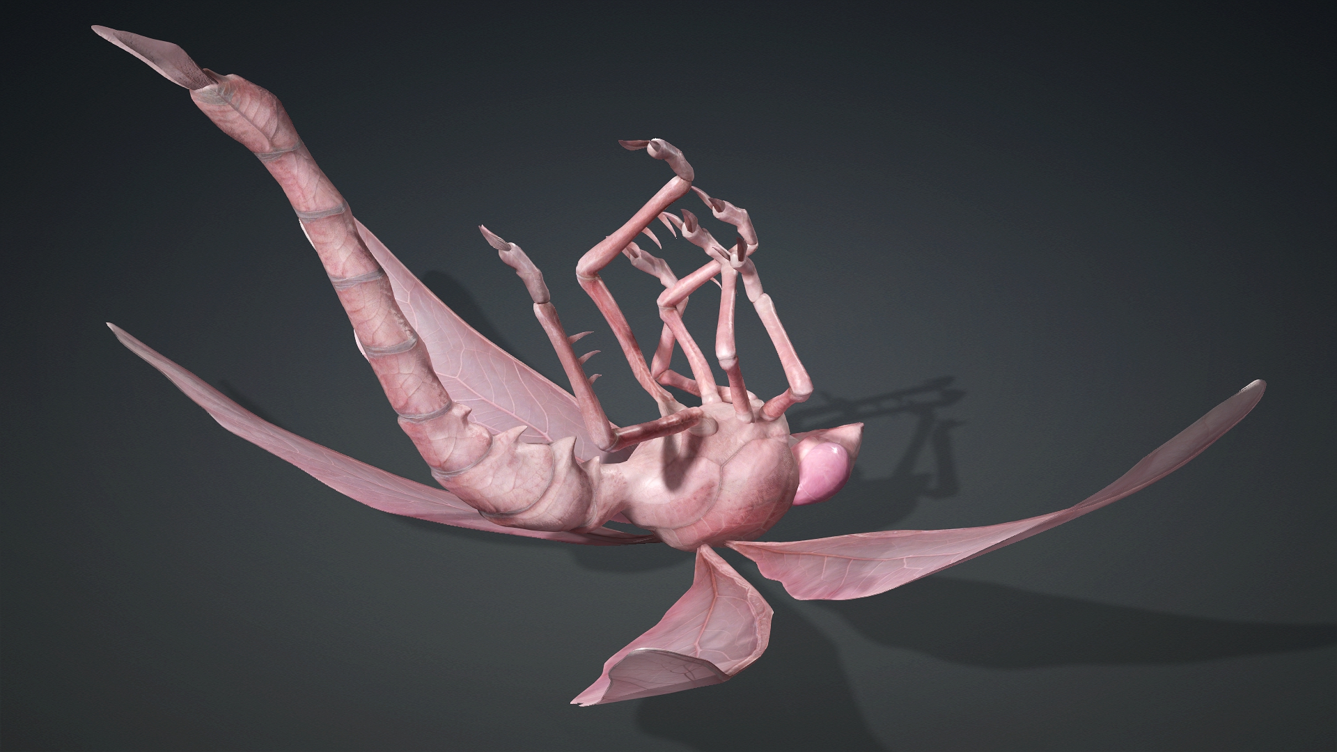 Giant Dragonfly_A3 - Image 17