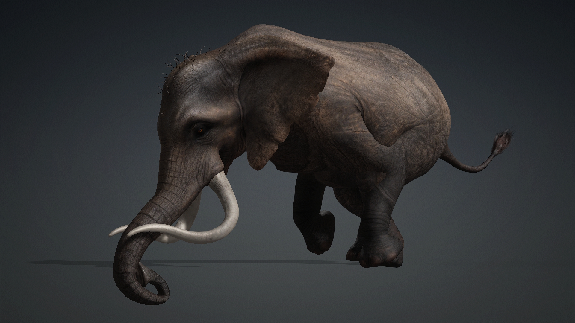 Elephant_A1 - Image 16