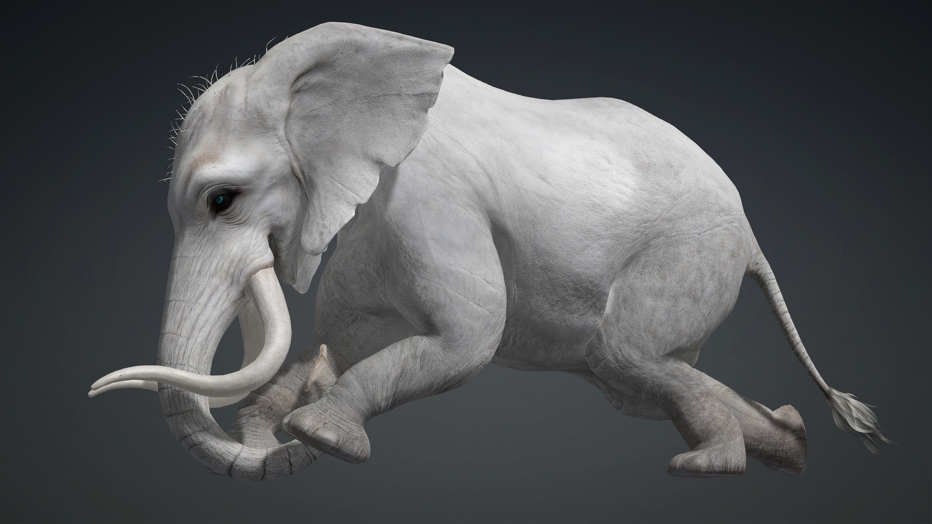 Elephant_A2 - Image 16