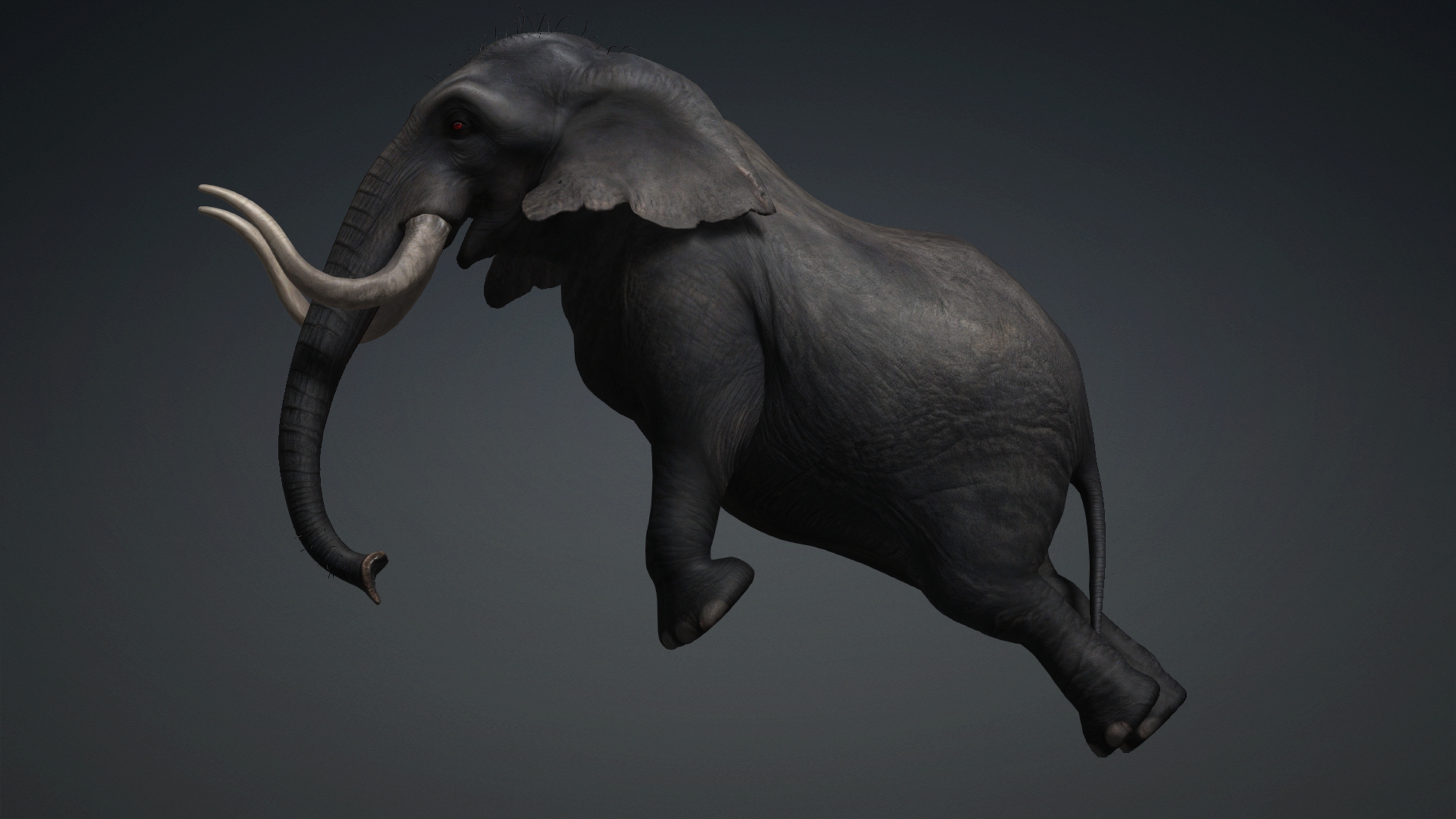 Elephant_A3 - Image 16