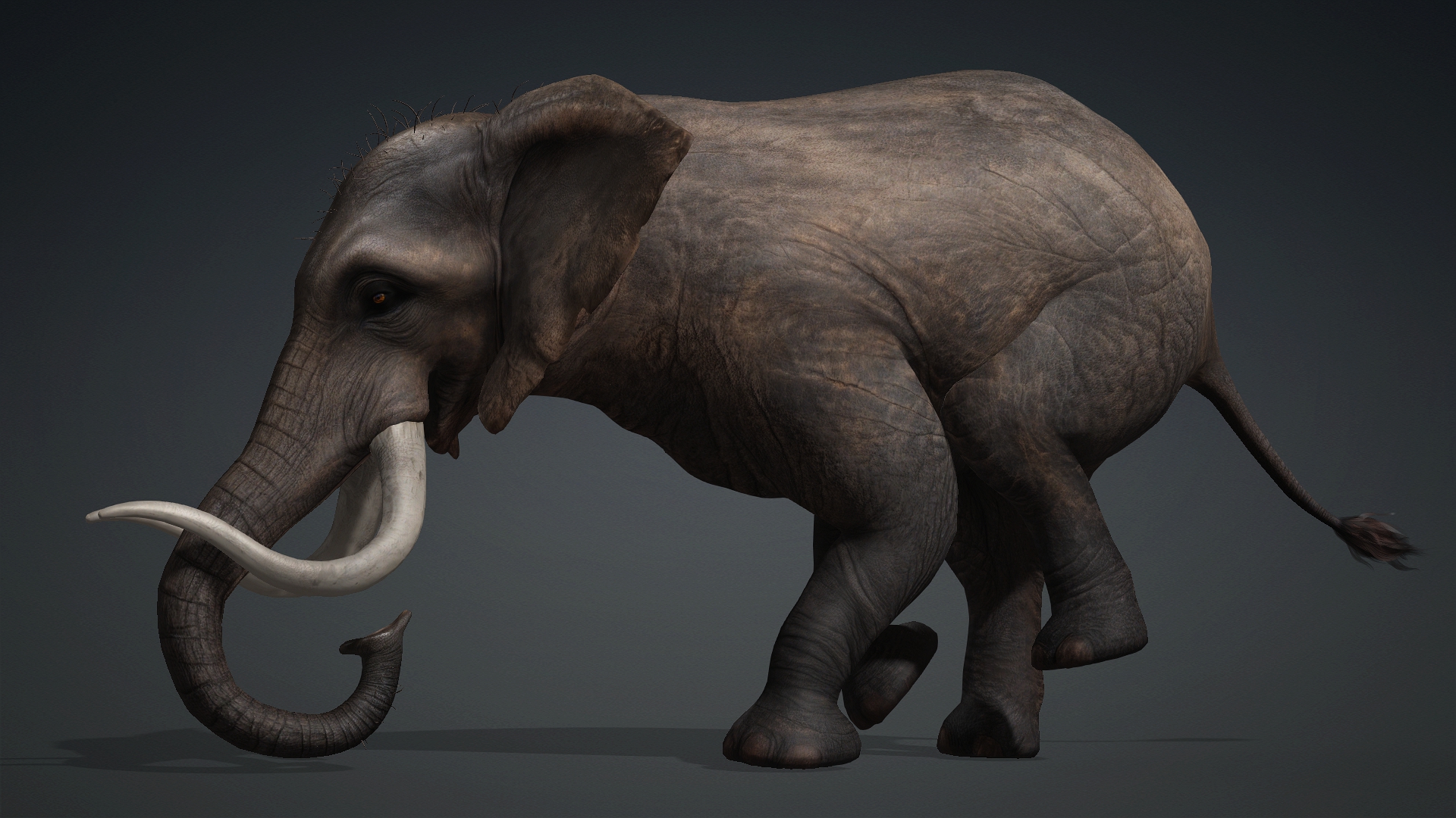 Elephant_A1 - Image 17