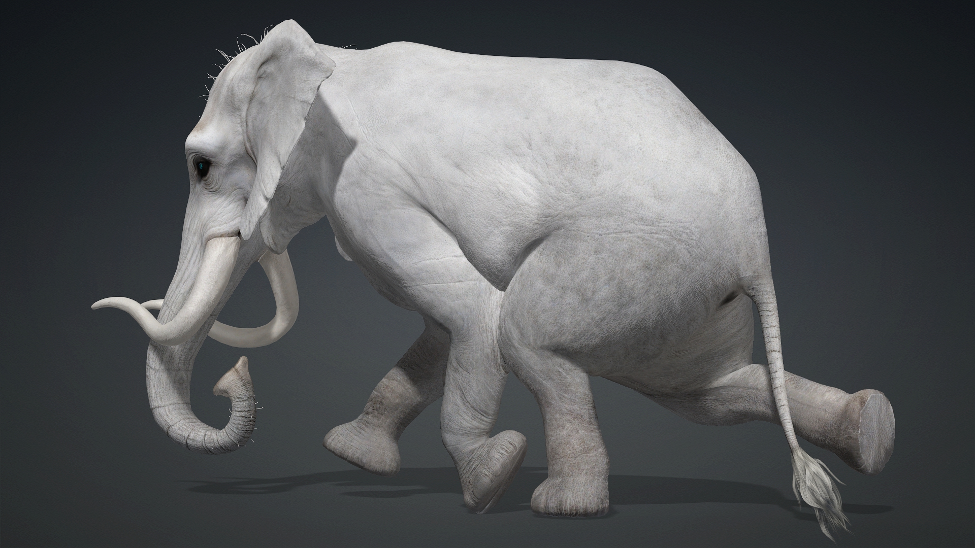 Elephant_A2 - Image 17