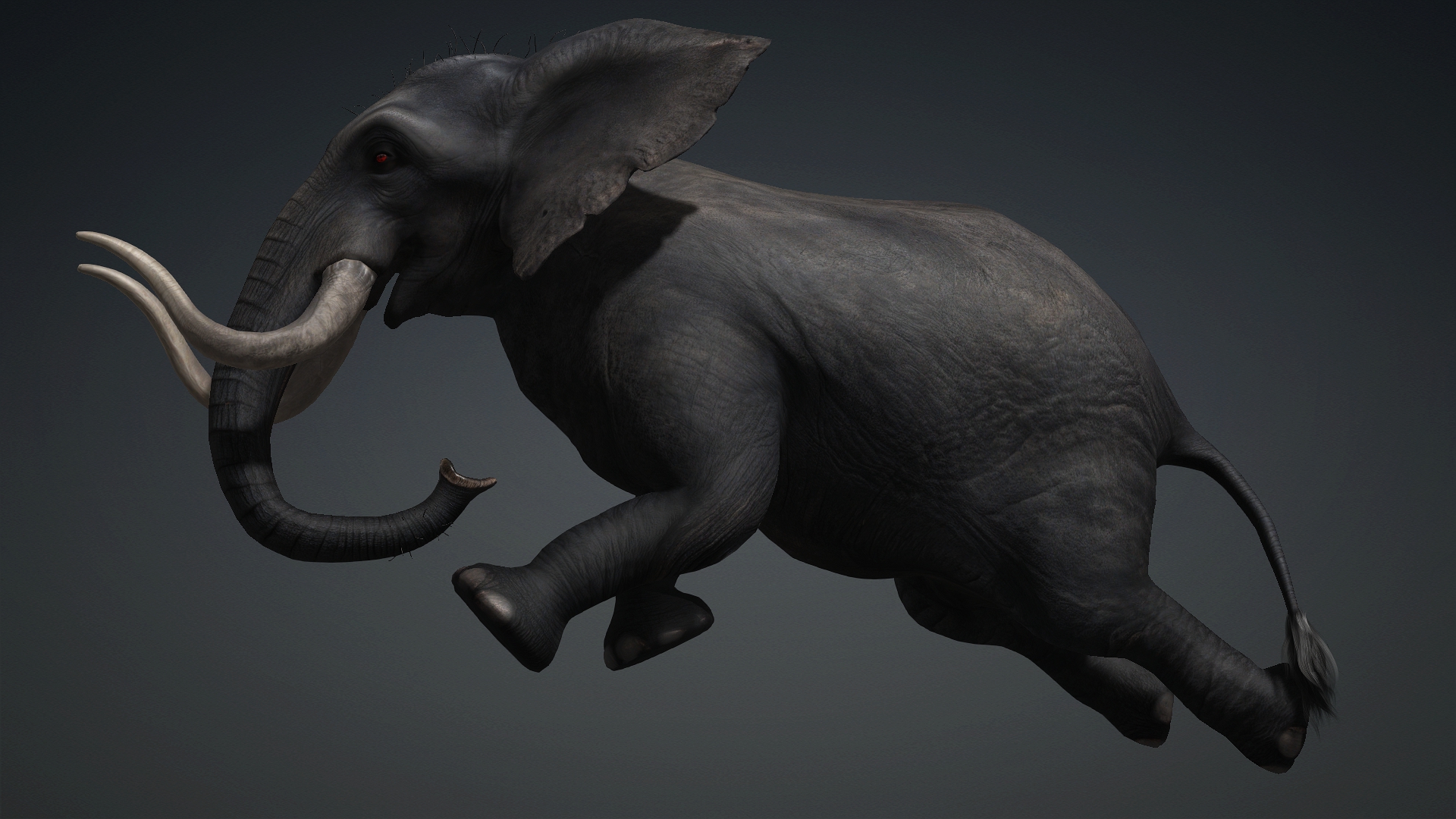 Elephant_A3 - Image 17