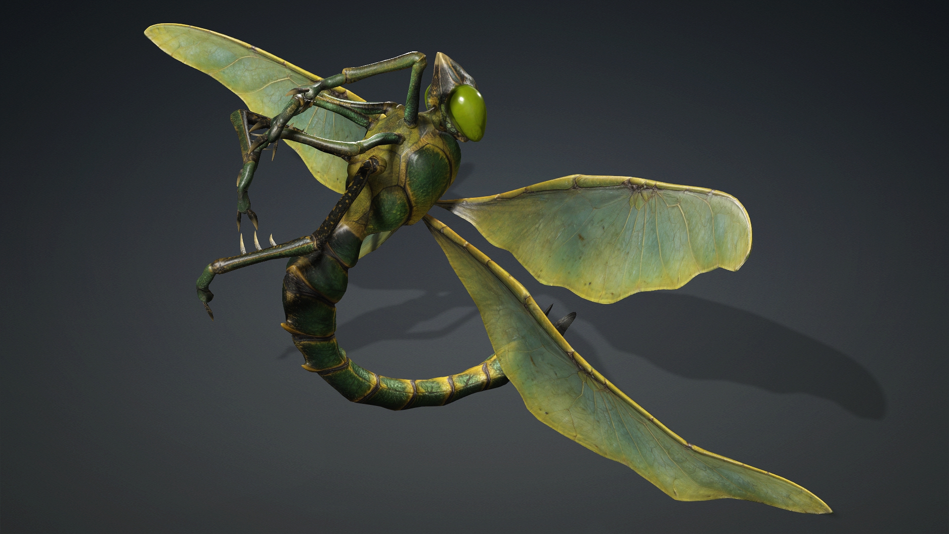 Giant Dragonfly_A1 - Image 18