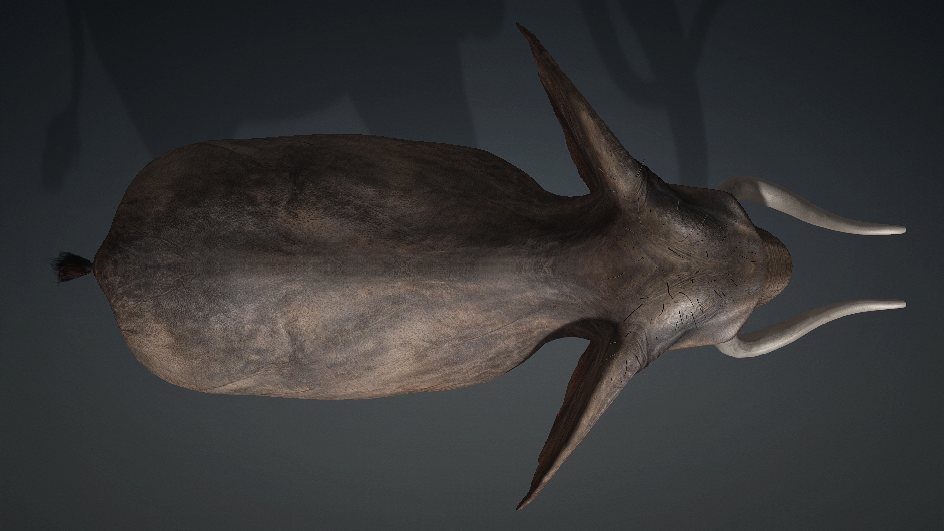 Elephant_A1 - Image 4