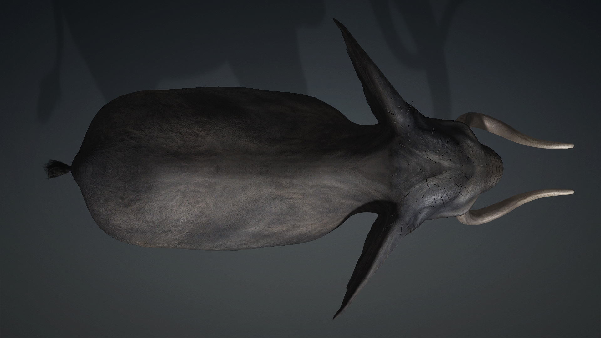Elephant_A3 - Image 4