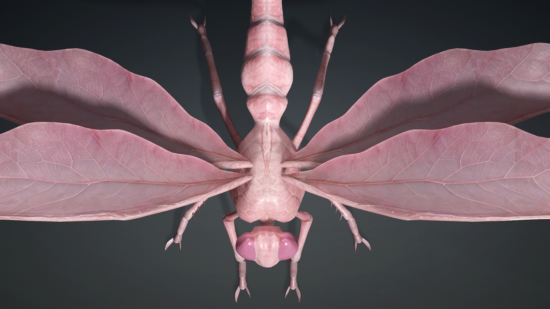 Giant Dragonfly_A3 - Image 5