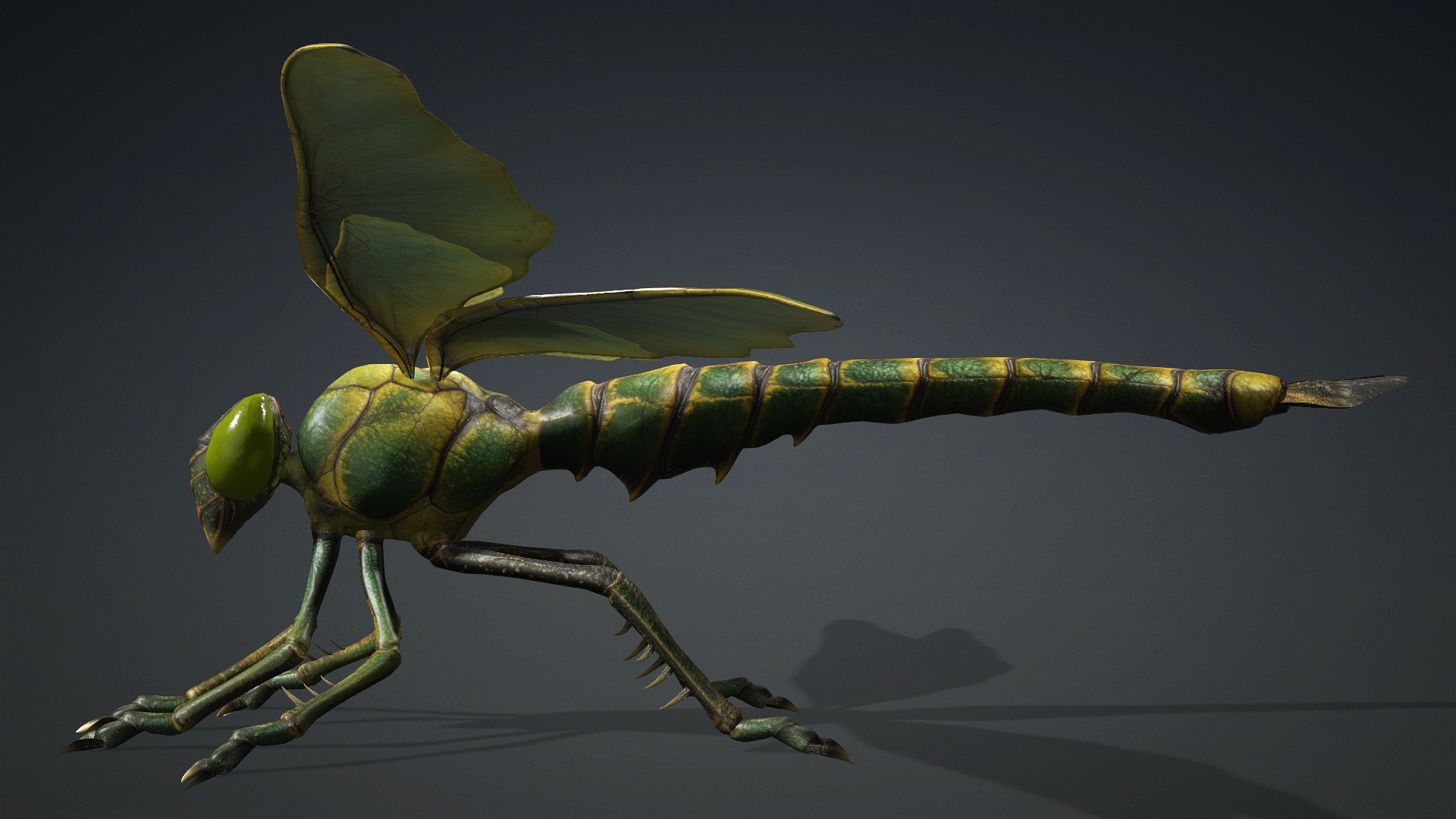 Giant Dragonfly_A1 - Image 6