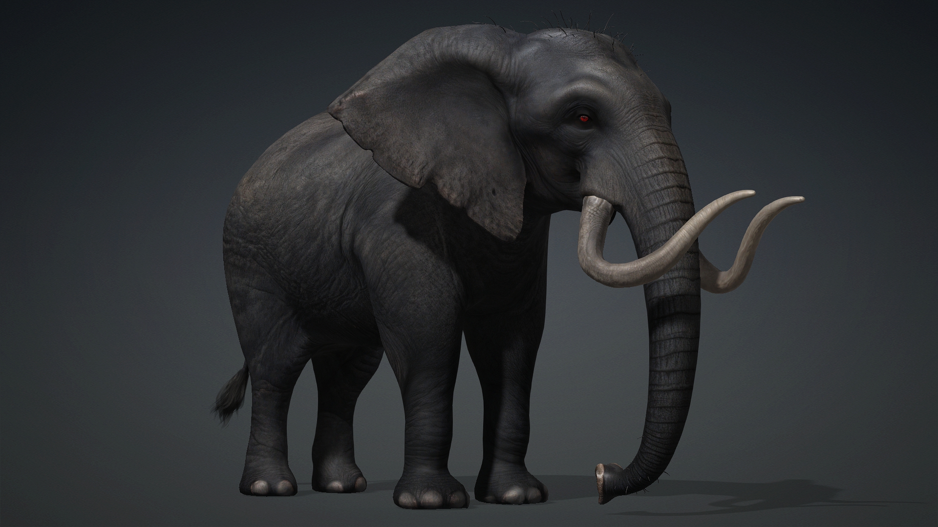 Elephant_A3 - Image 6