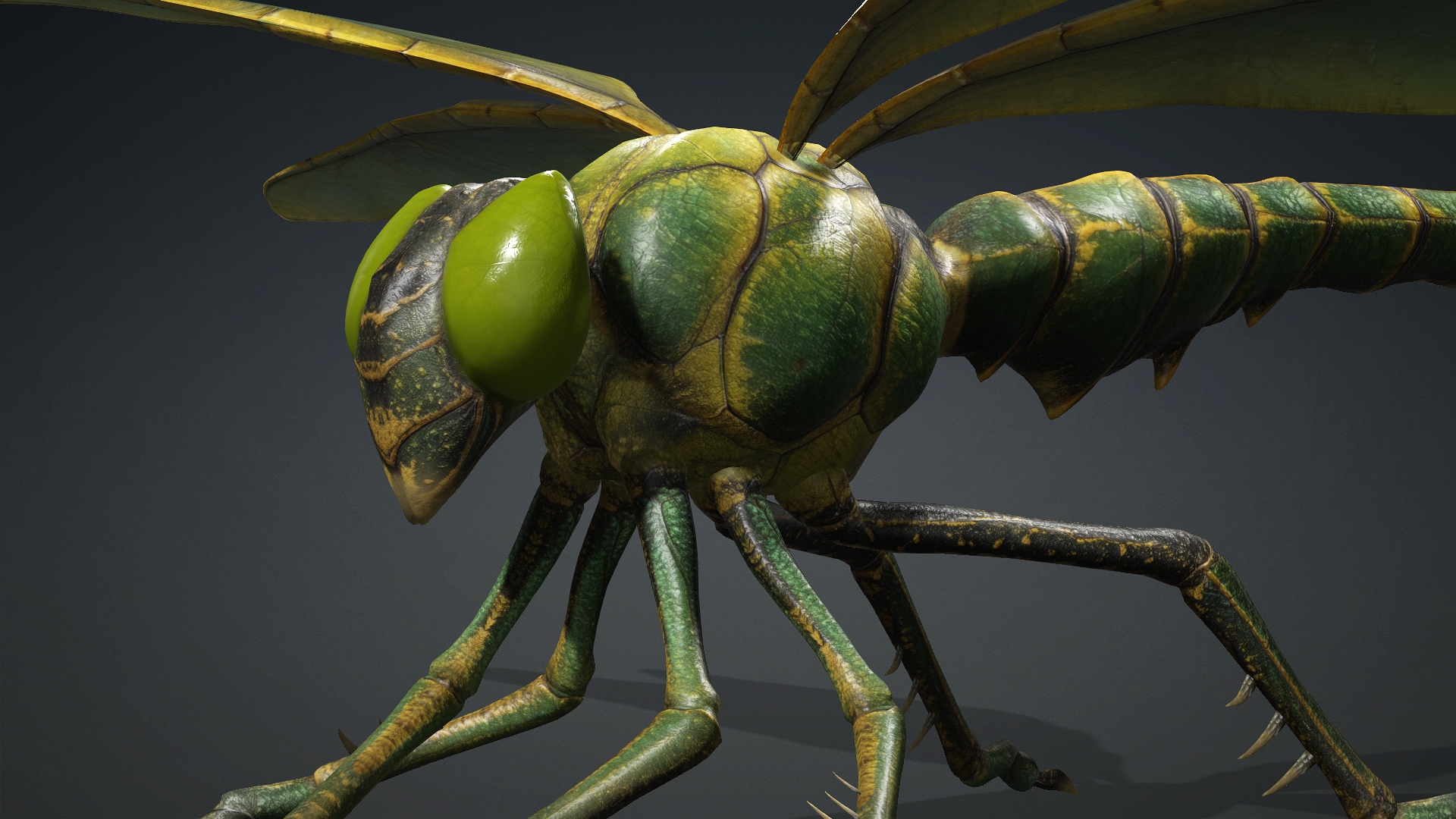 Giant Dragonfly_A1 - Image 7