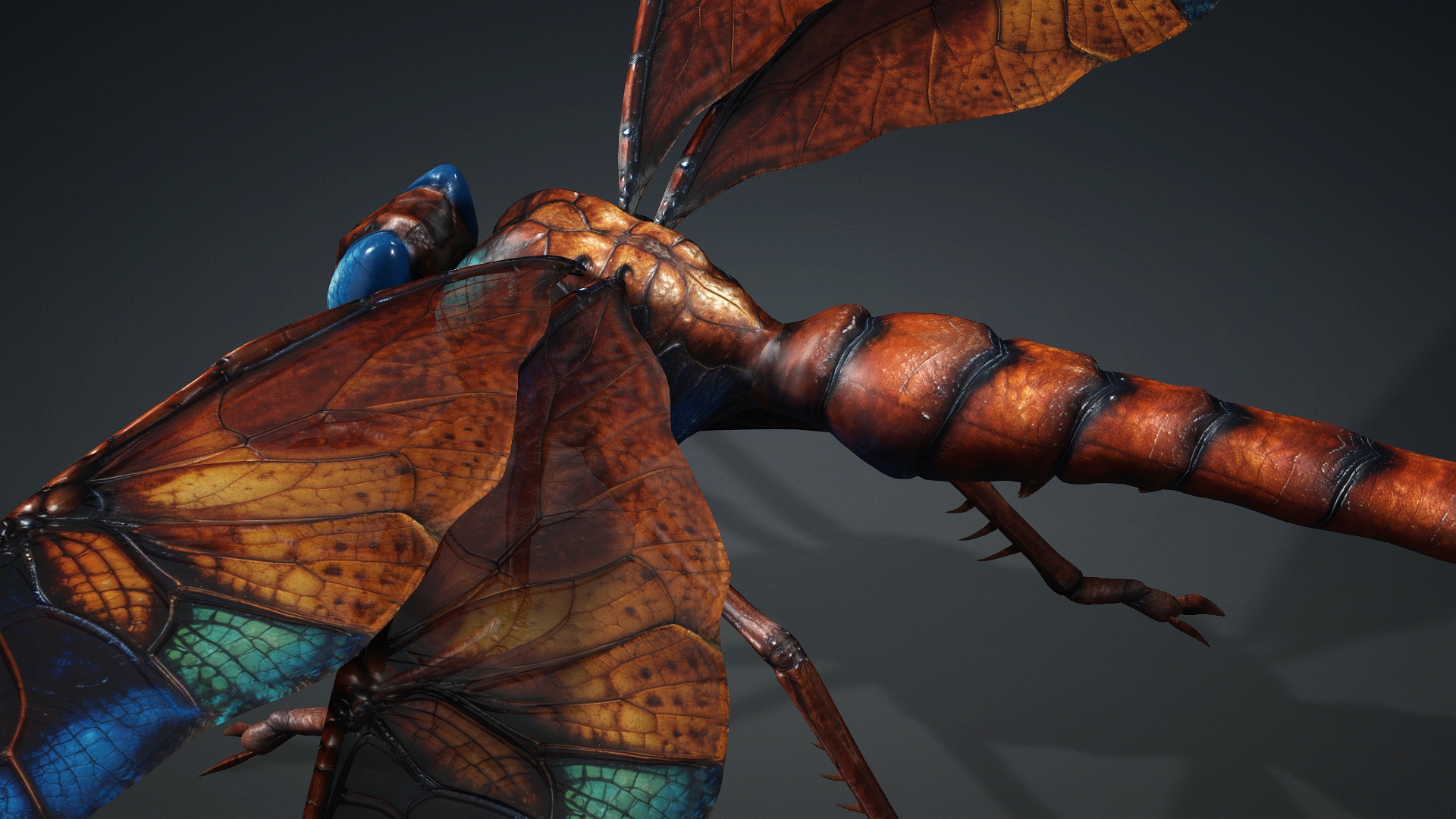 Giant Dragonfly_A4 - Image 7