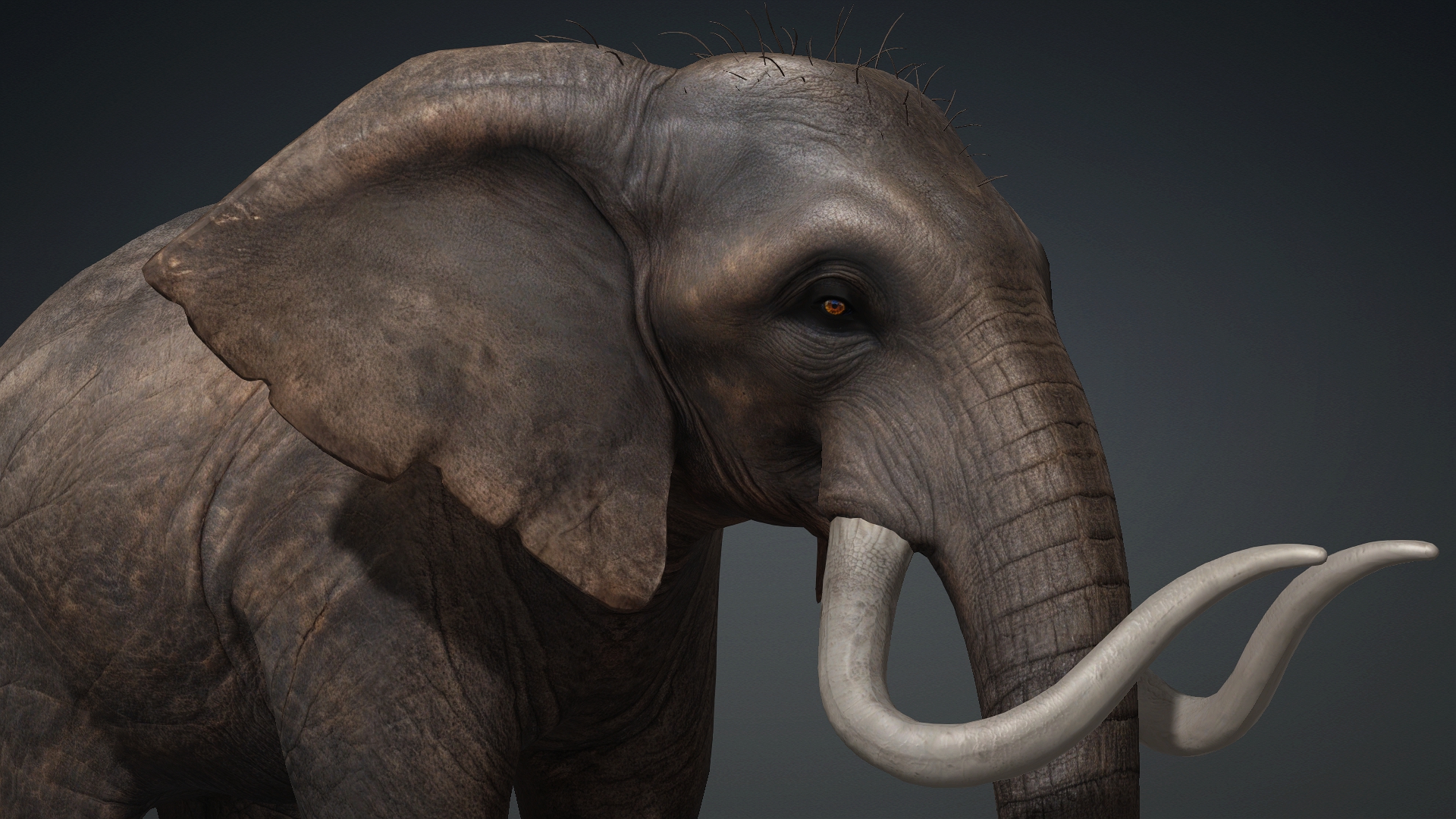 Elephant_A1 - Image 7
