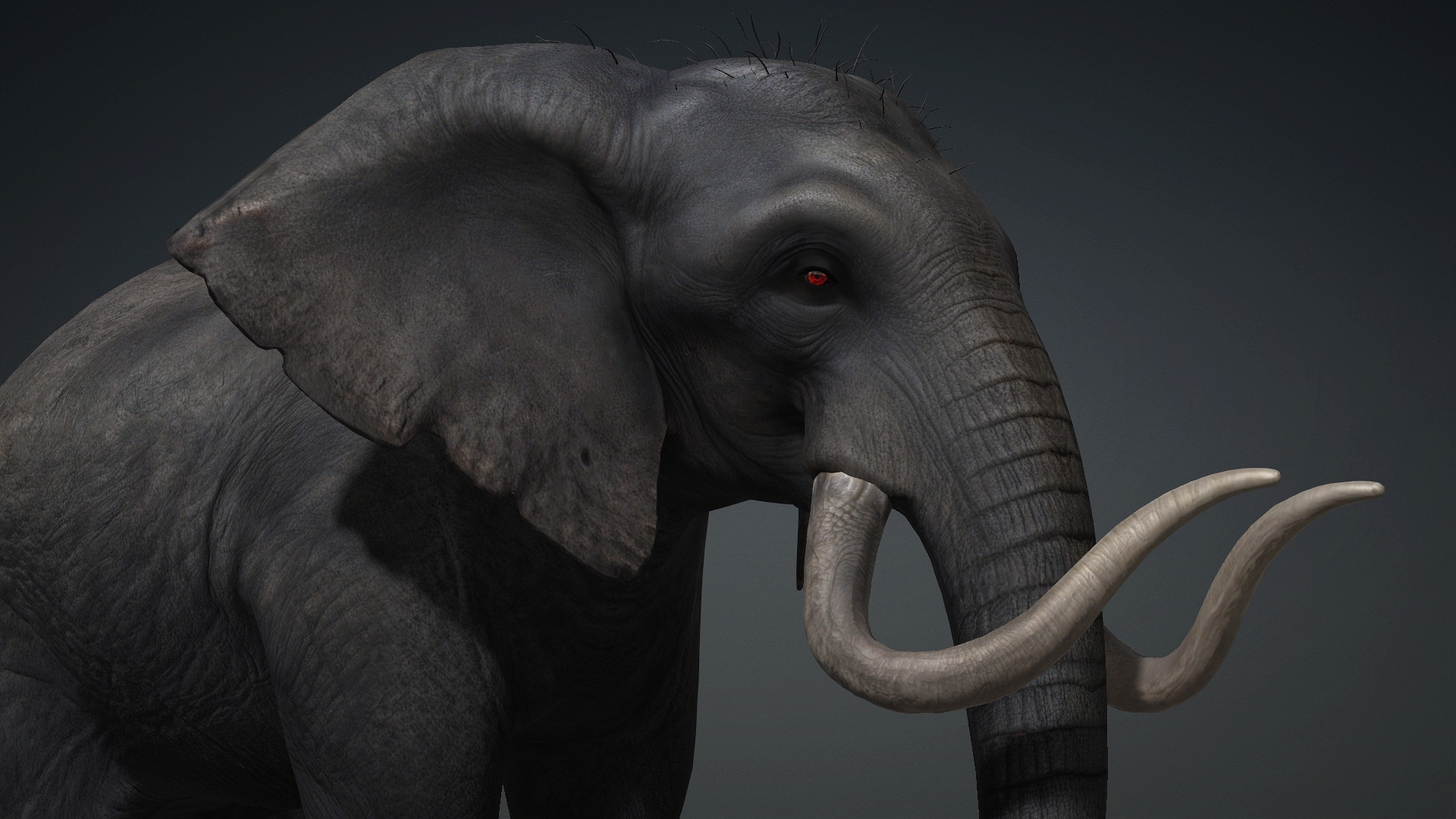 Elephant_A3 - Image 7