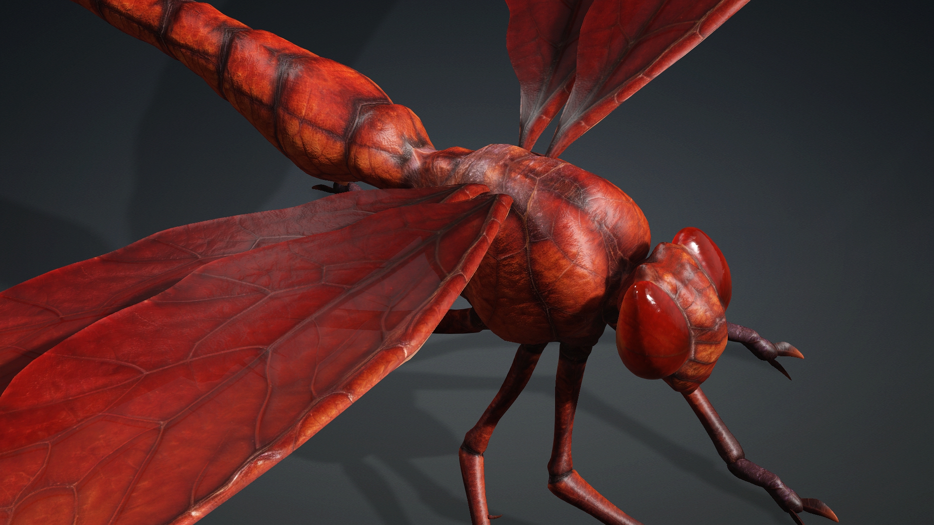 Giant Dragonfly_A2 - Image 8
