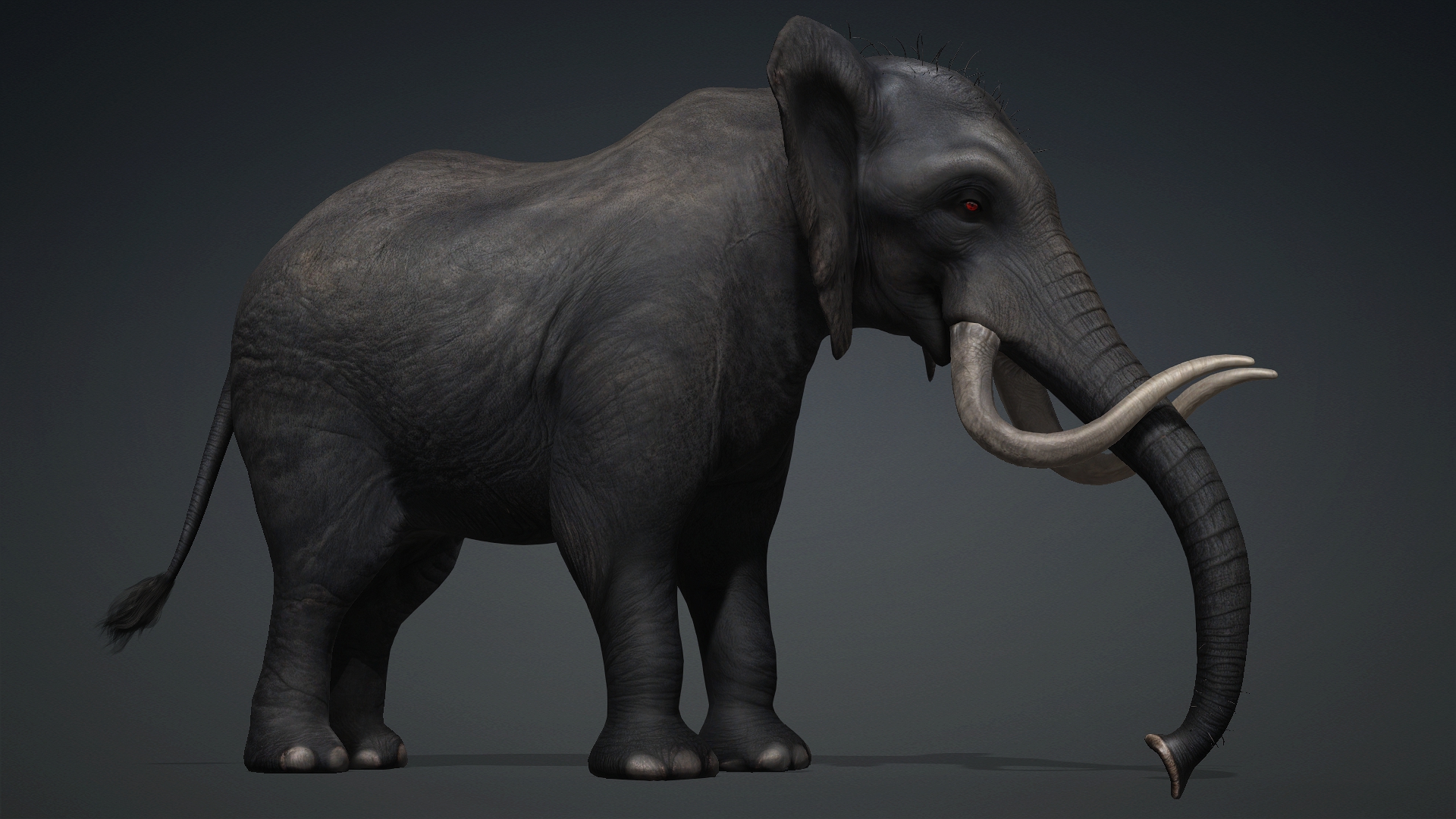 Elephant_A3 - Image 8