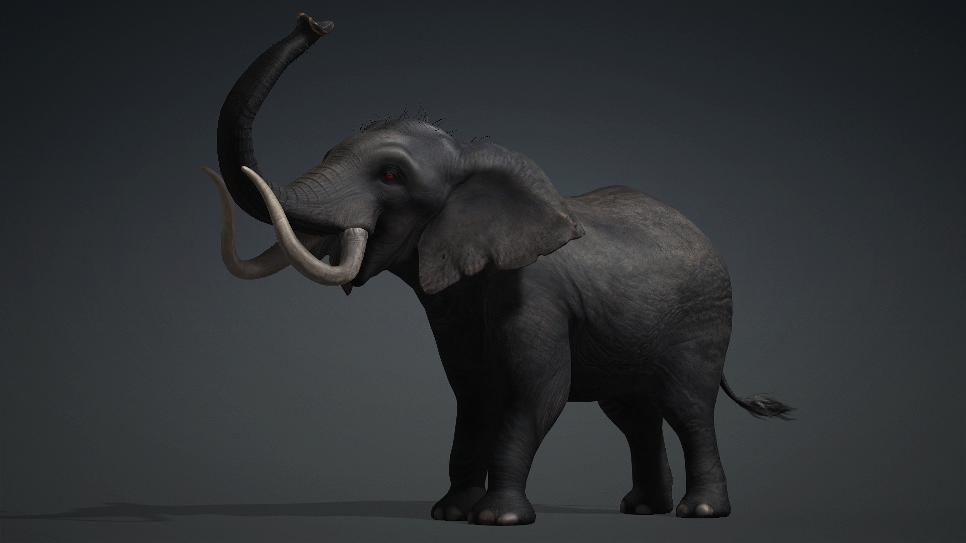 Elephant_A3 - Image 9