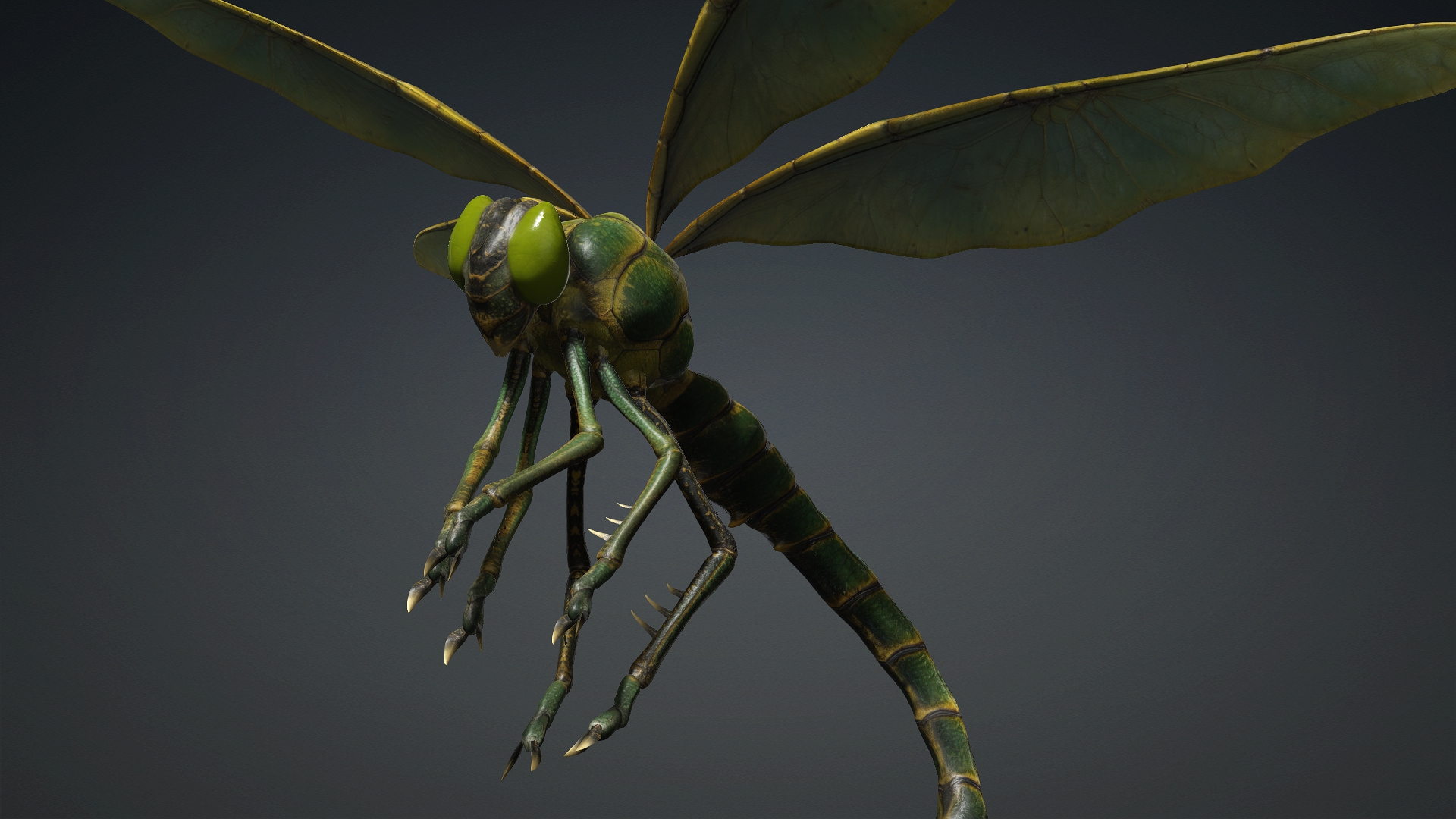 Giant Dragonfly_A1 - Image 10