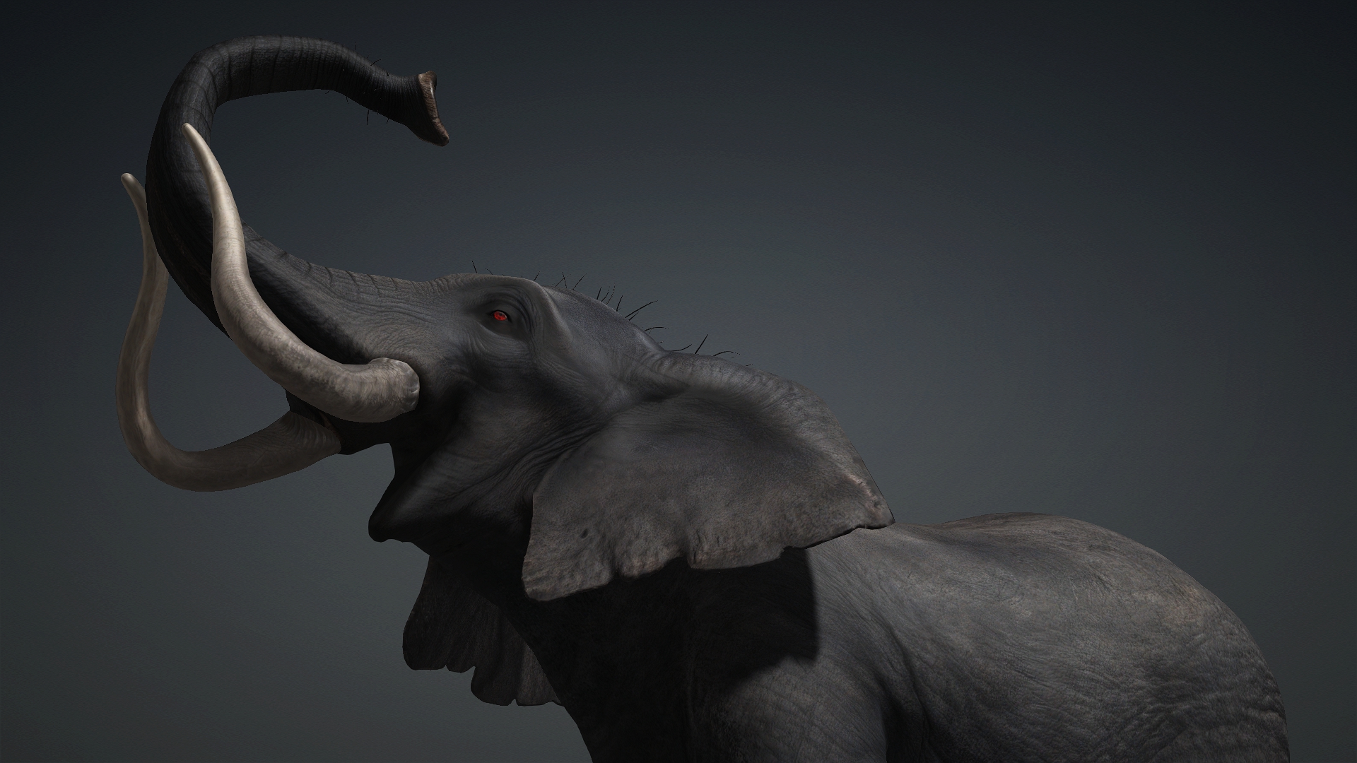 Elephant_A3 - Image 10
