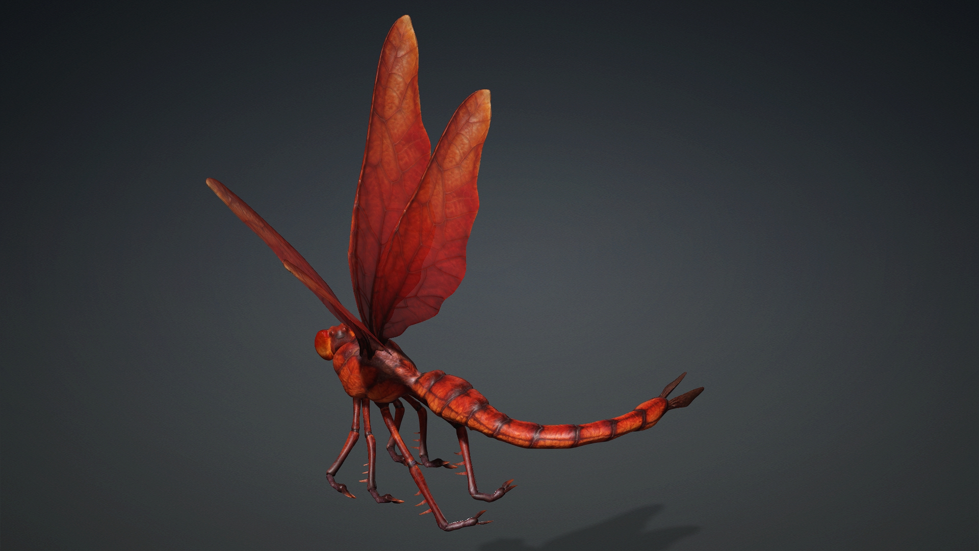 Giant Dragonfly_A2 - Image 11