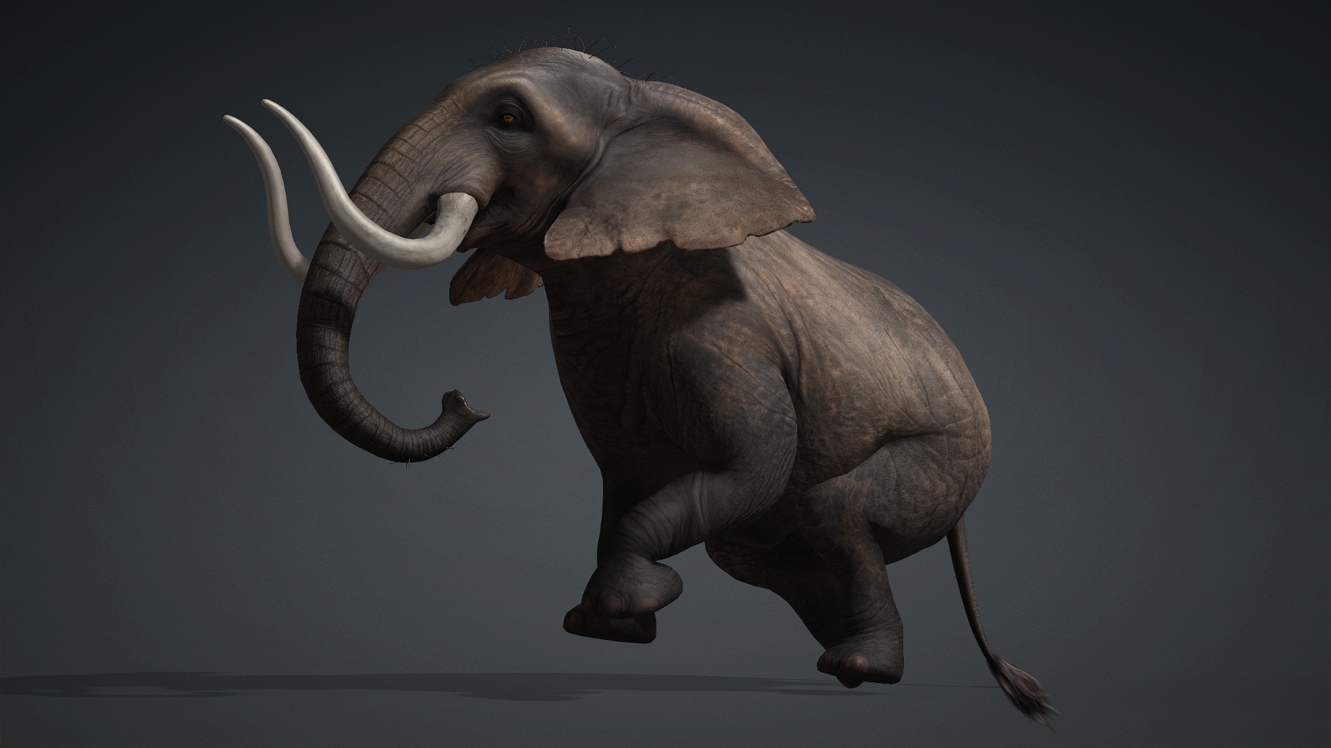 Elephant_A1 - Image 11