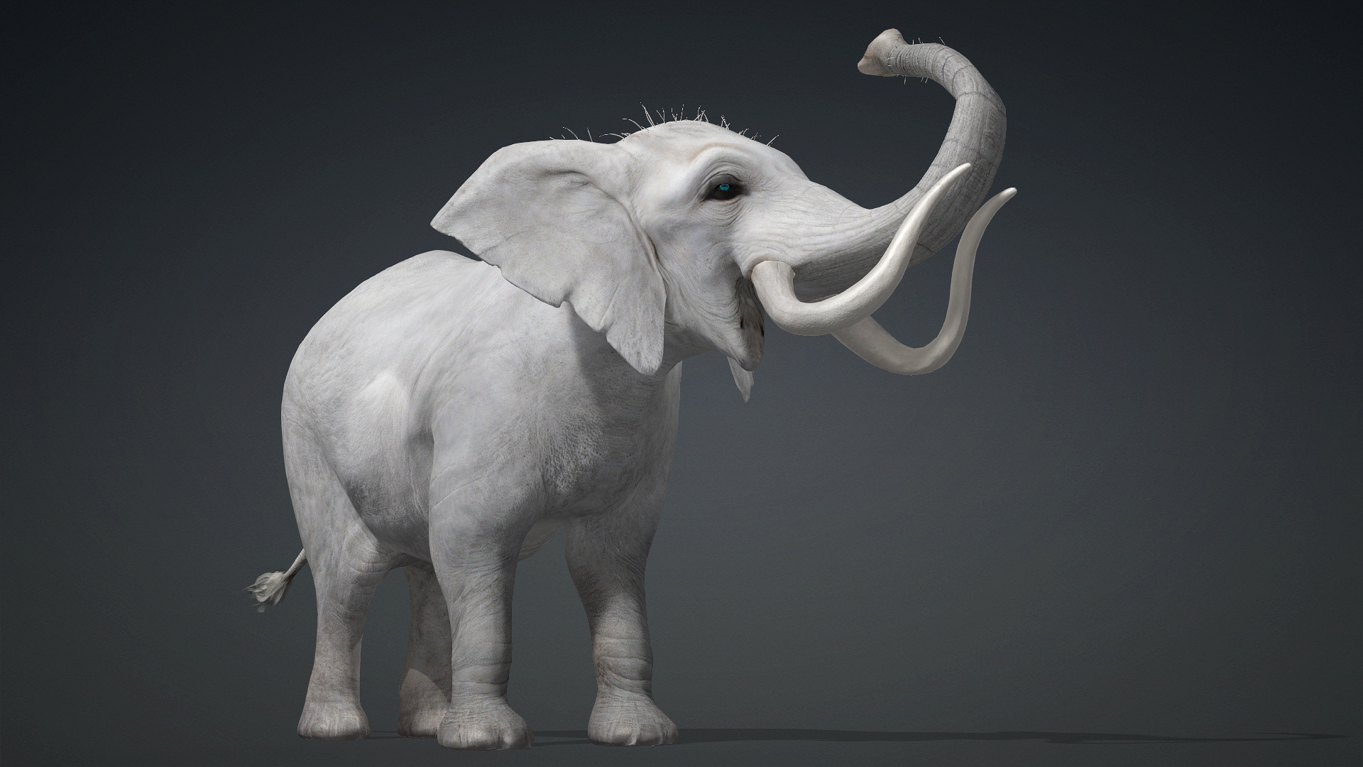 Elephant_A2 - Image 11